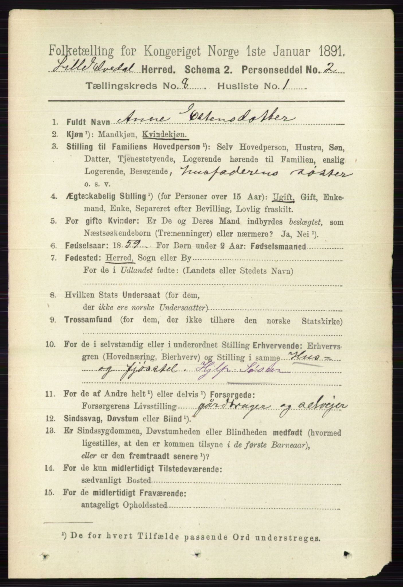 RA, 1891 census for 0438 Lille Elvedalen, 1891, p. 2469