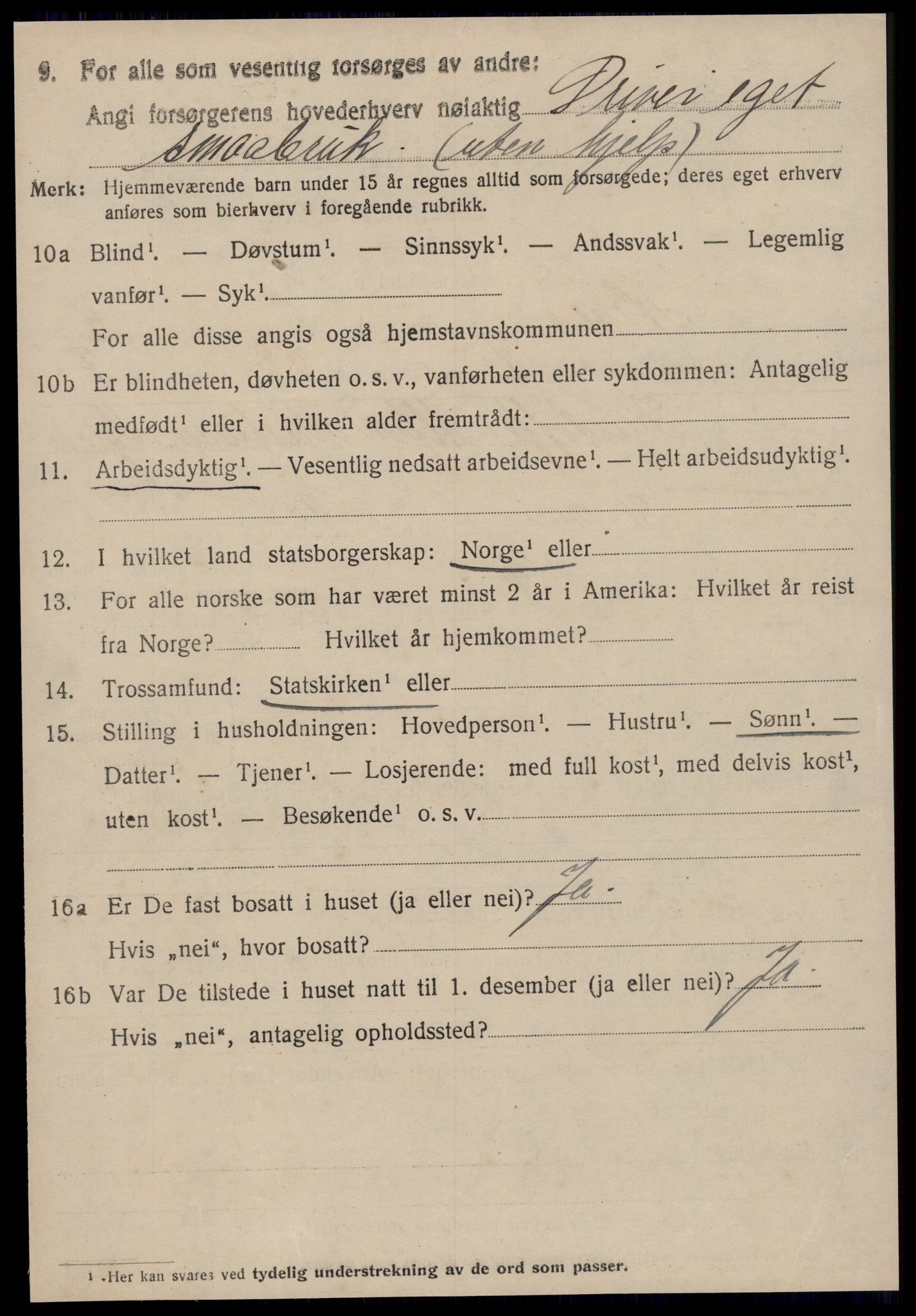 SAT, 1920 census for Hopen, 1920, p. 2005