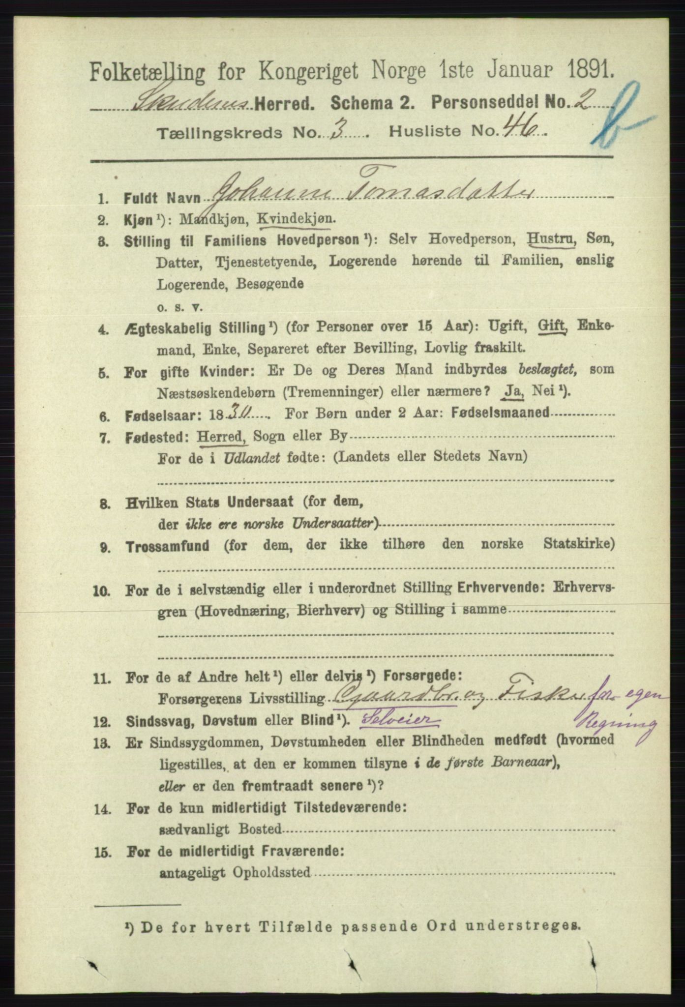 RA, 1891 census for 1150 Skudenes, 1891, p. 4237