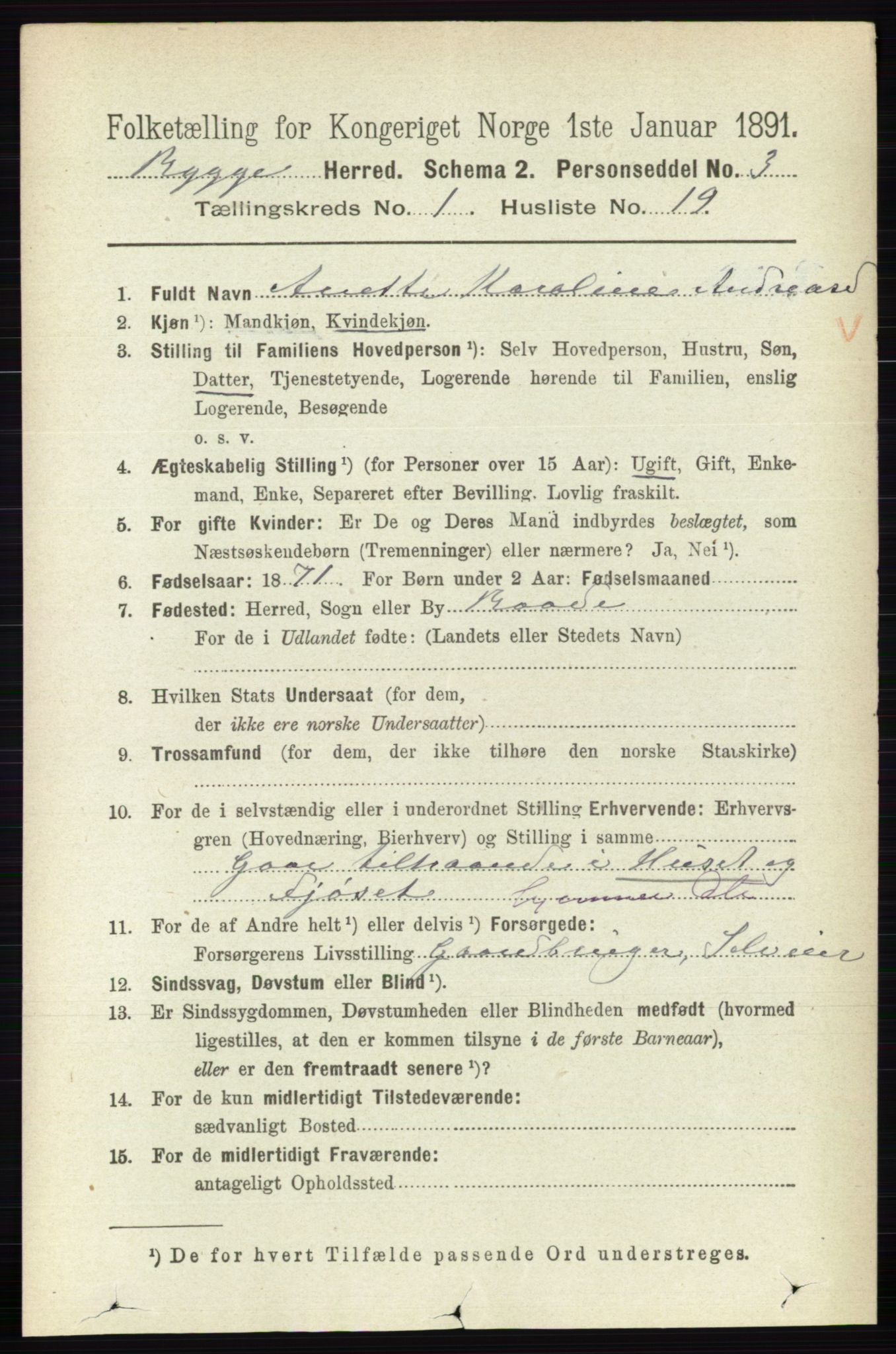 RA, 1891 census for 0136 Rygge, 1891, p. 275