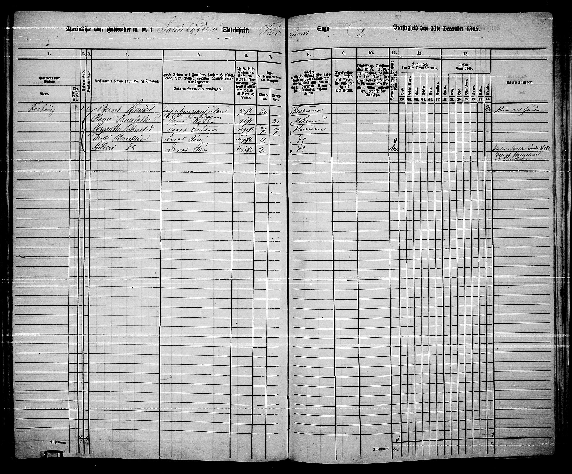 RA, 1865 census for Hurum, 1865, p. 101