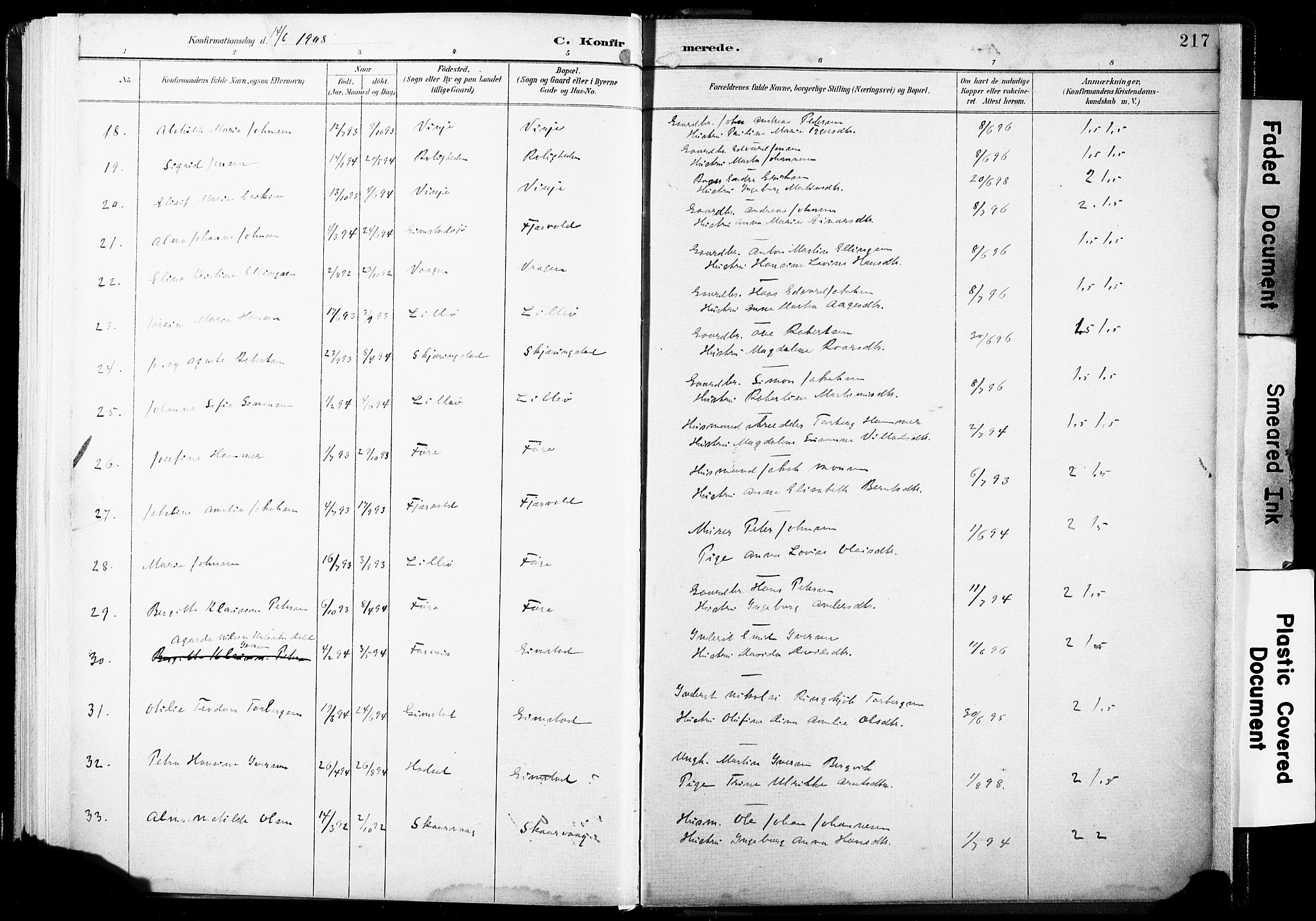 Ministerialprotokoller, klokkerbøker og fødselsregistre - Nordland, AV/SAT-A-1459/891/L1304: Parish register (official) no. 891A09, 1895-1921, p. 217