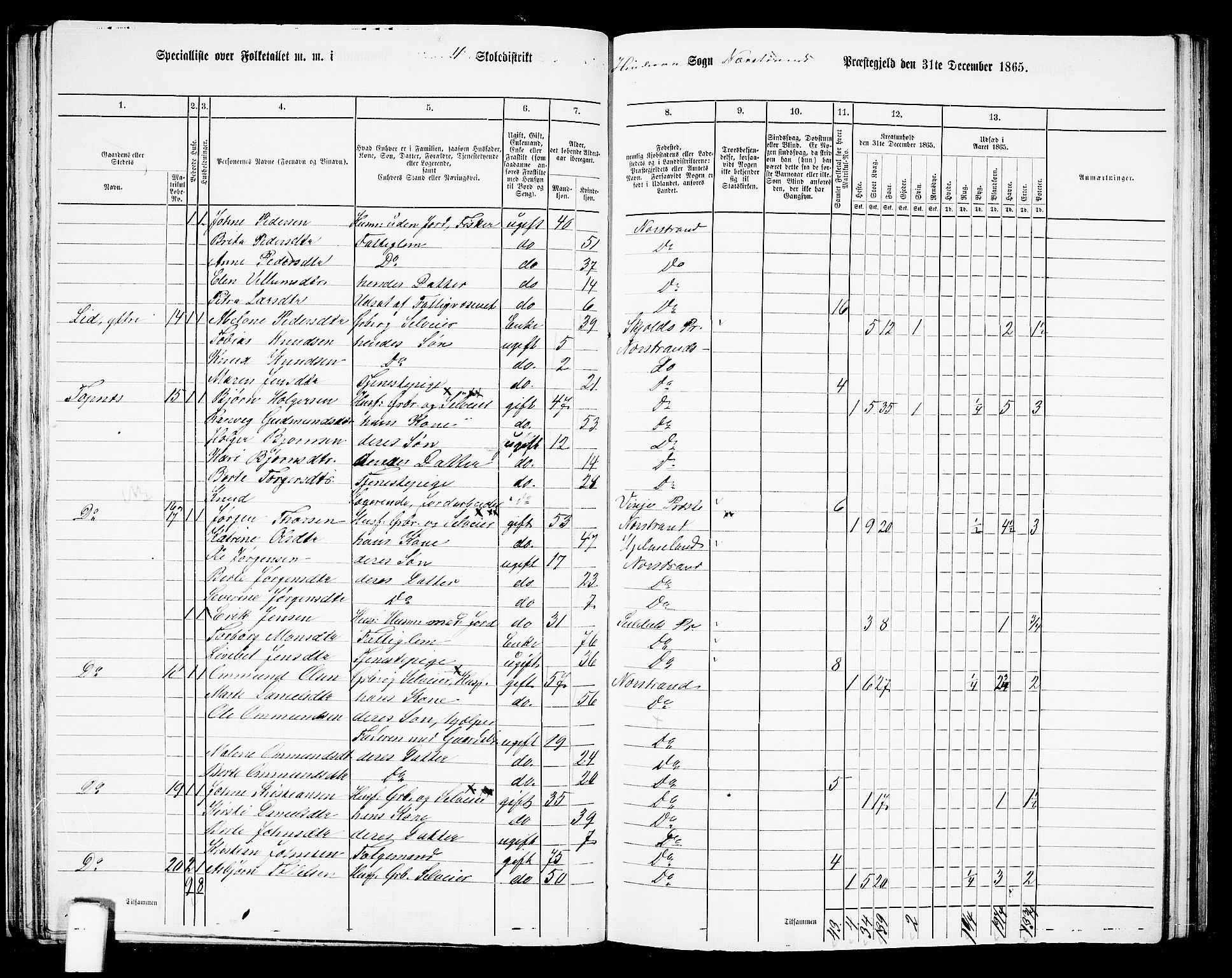 RA, 1865 census for Nedstrand, 1865, p. 60