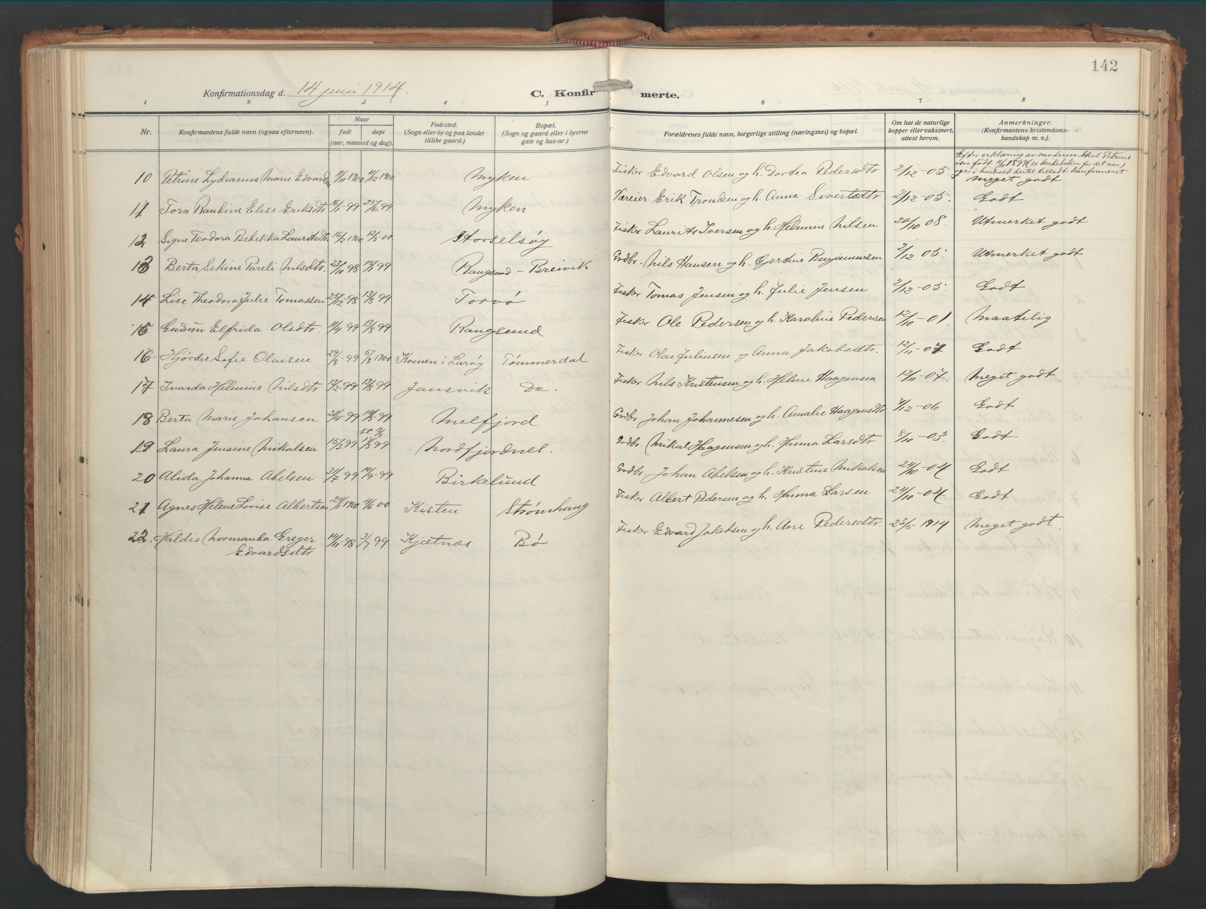 Ministerialprotokoller, klokkerbøker og fødselsregistre - Nordland, AV/SAT-A-1459/841/L0614: Parish register (official) no. 841A17, 1911-1925, p. 142