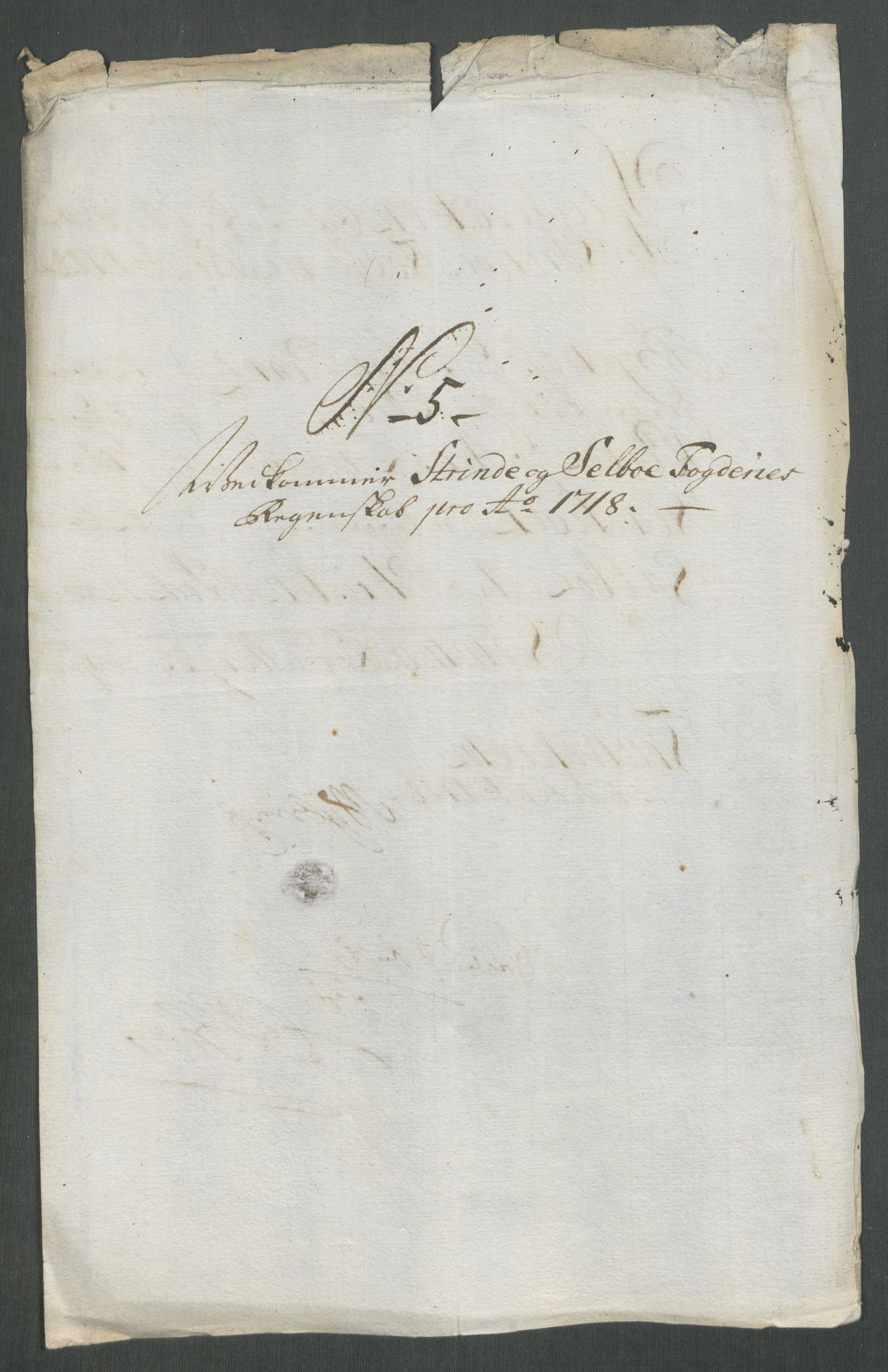 Rentekammeret inntil 1814, Reviderte regnskaper, Fogderegnskap, AV/RA-EA-4092/R61/L4116: Fogderegnskap Strinda og Selbu, 1717-1718, p. 377