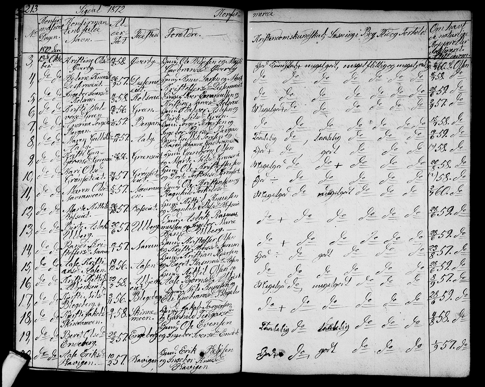 Sigdal kirkebøker, AV/SAKO-A-245/G/Ga/L0003: Parish register (copy) no. I 3, 1857-1878, p. 213