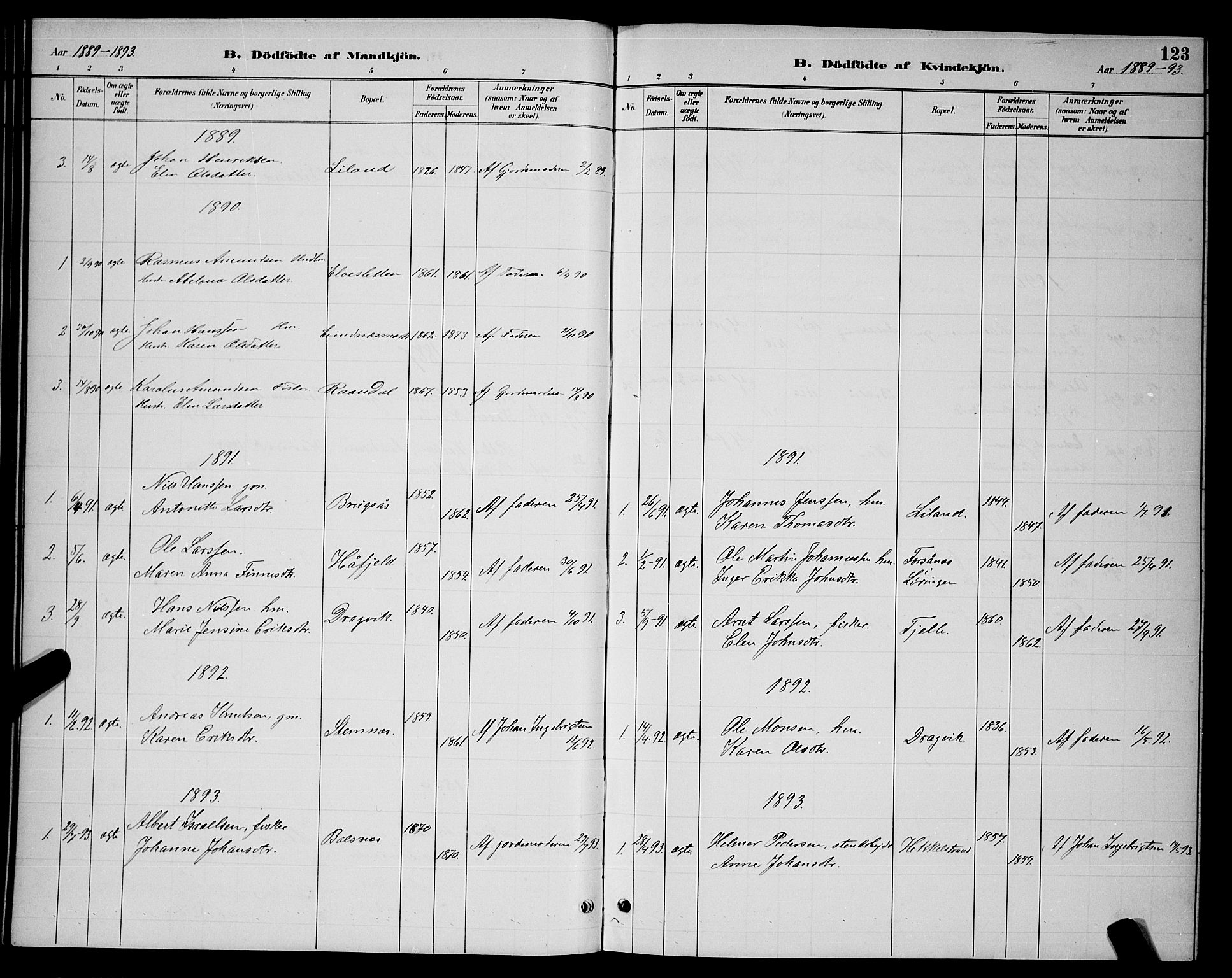 Ministerialprotokoller, klokkerbøker og fødselsregistre - Nordland, AV/SAT-A-1459/863/L0914: Parish register (copy) no. 863C04, 1886-1897, p. 123