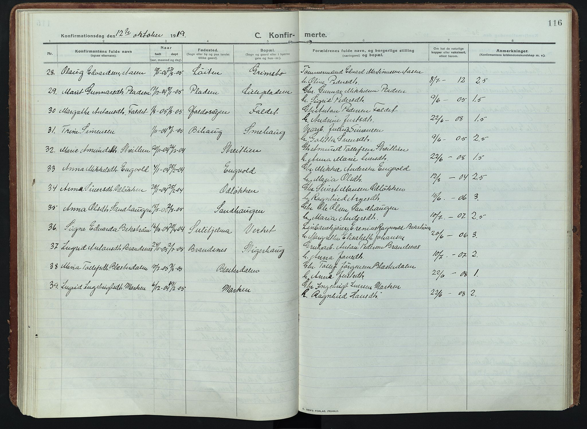 Alvdal prestekontor, SAH/PREST-060/H/Ha/Haa/L0005: Parish register (official) no. 5, 1913-1930, p. 116