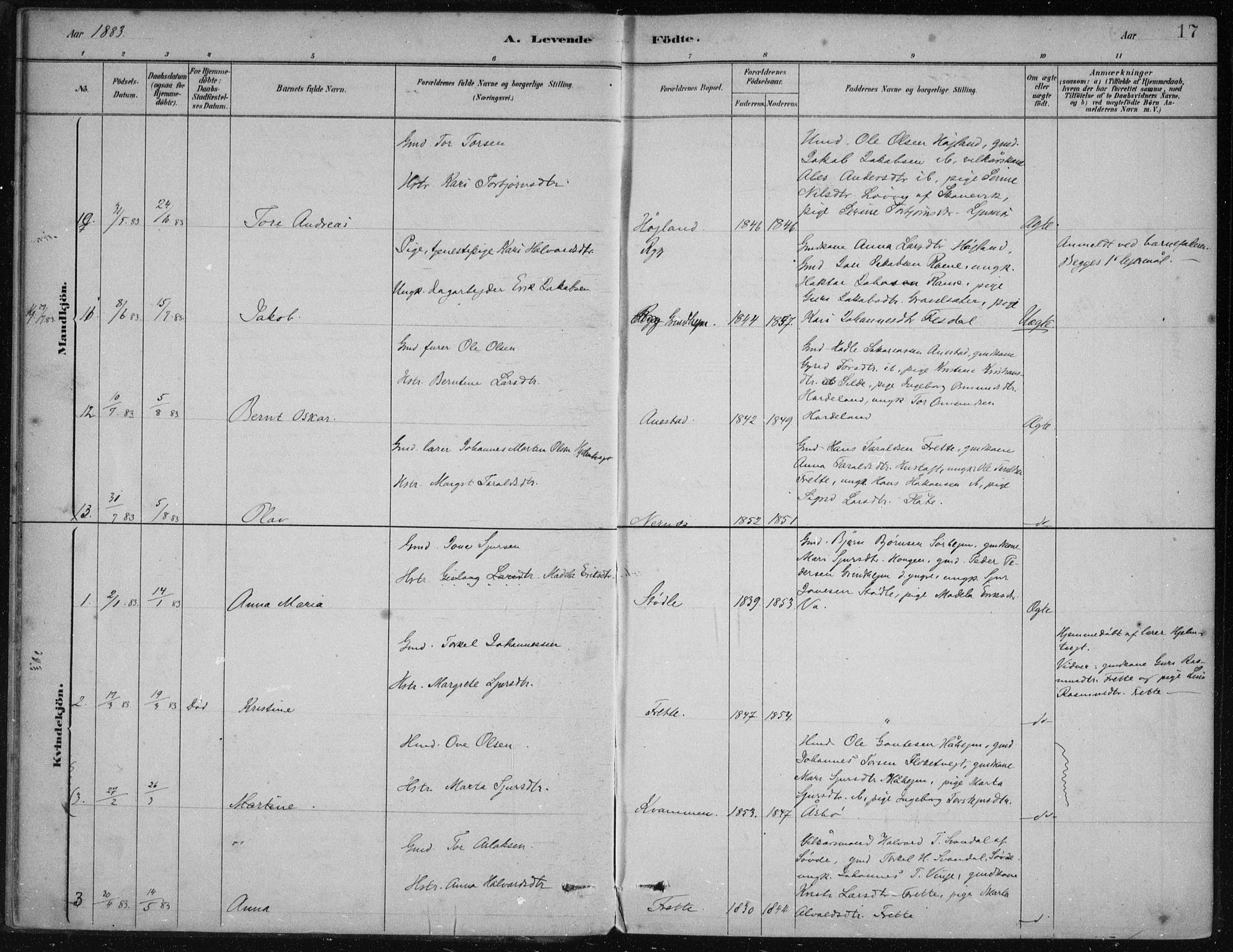 Etne sokneprestembete, AV/SAB-A-75001/H/Haa: Parish register (official) no. D  1, 1879-1919, p. 17