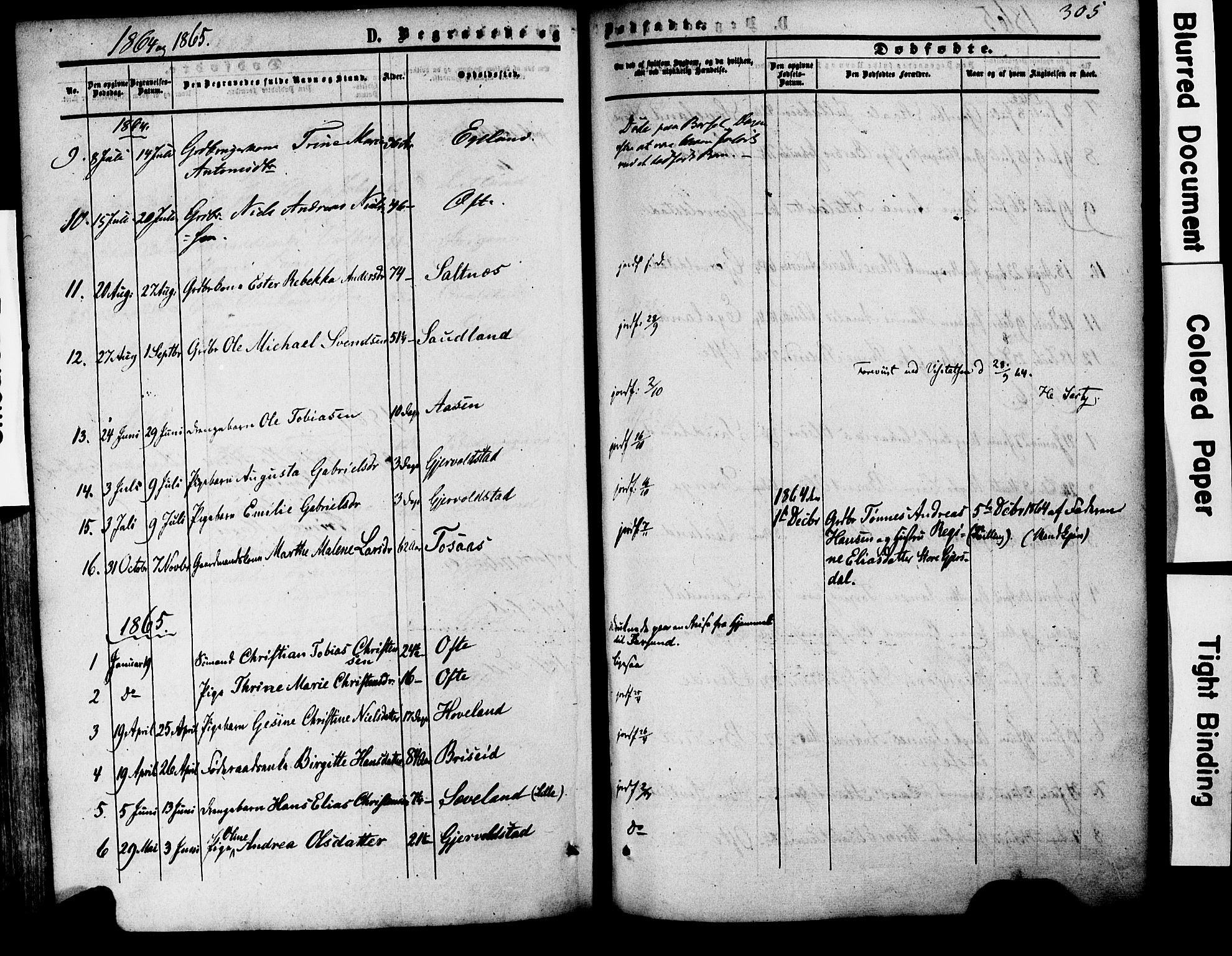 Herad sokneprestkontor, AV/SAK-1111-0018/F/Fa/Faa/L0005: Parish register (official) no. A 5, 1853-1886, p. 305