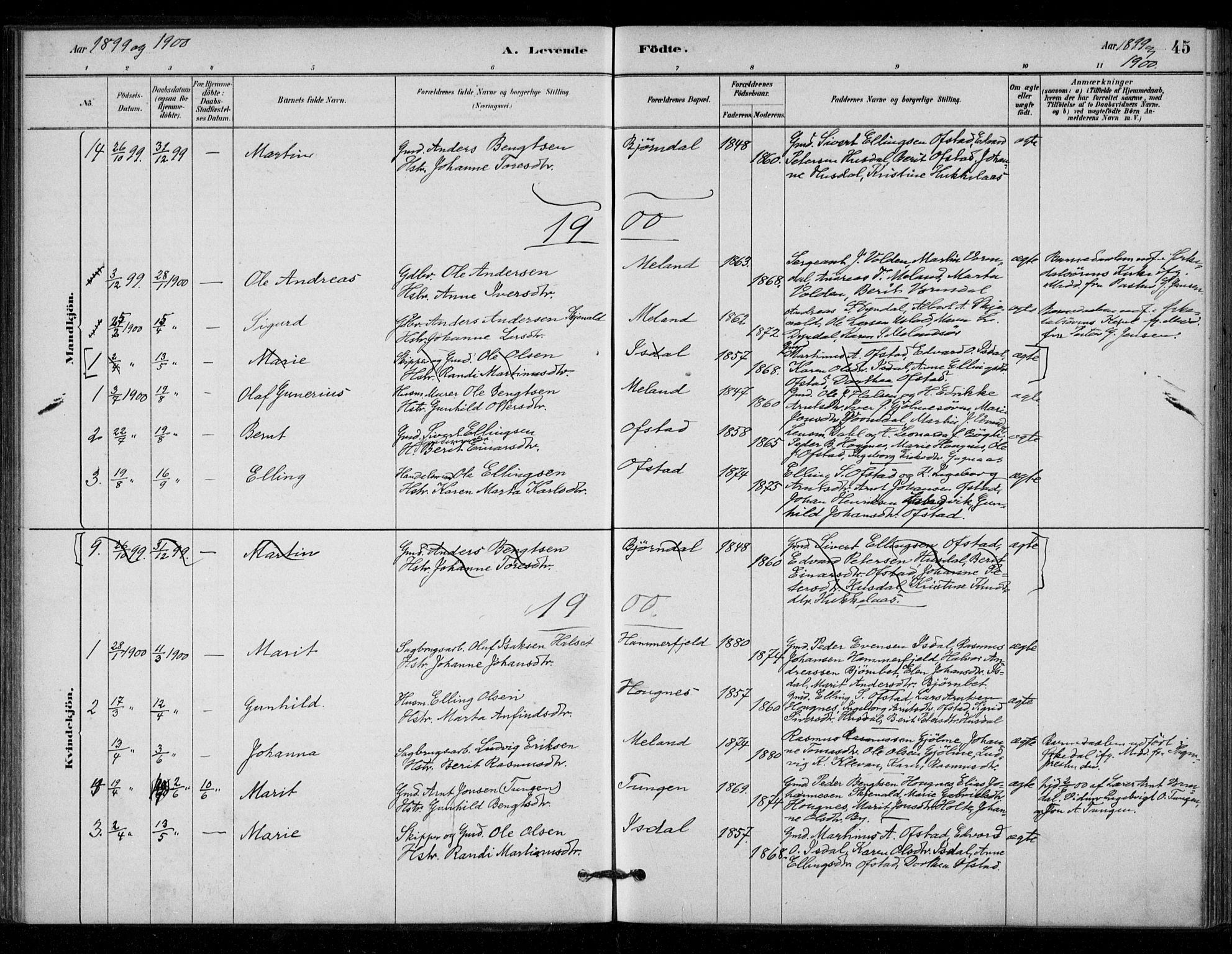 Ministerialprotokoller, klokkerbøker og fødselsregistre - Sør-Trøndelag, SAT/A-1456/670/L0836: Parish register (official) no. 670A01, 1879-1904, p. 45