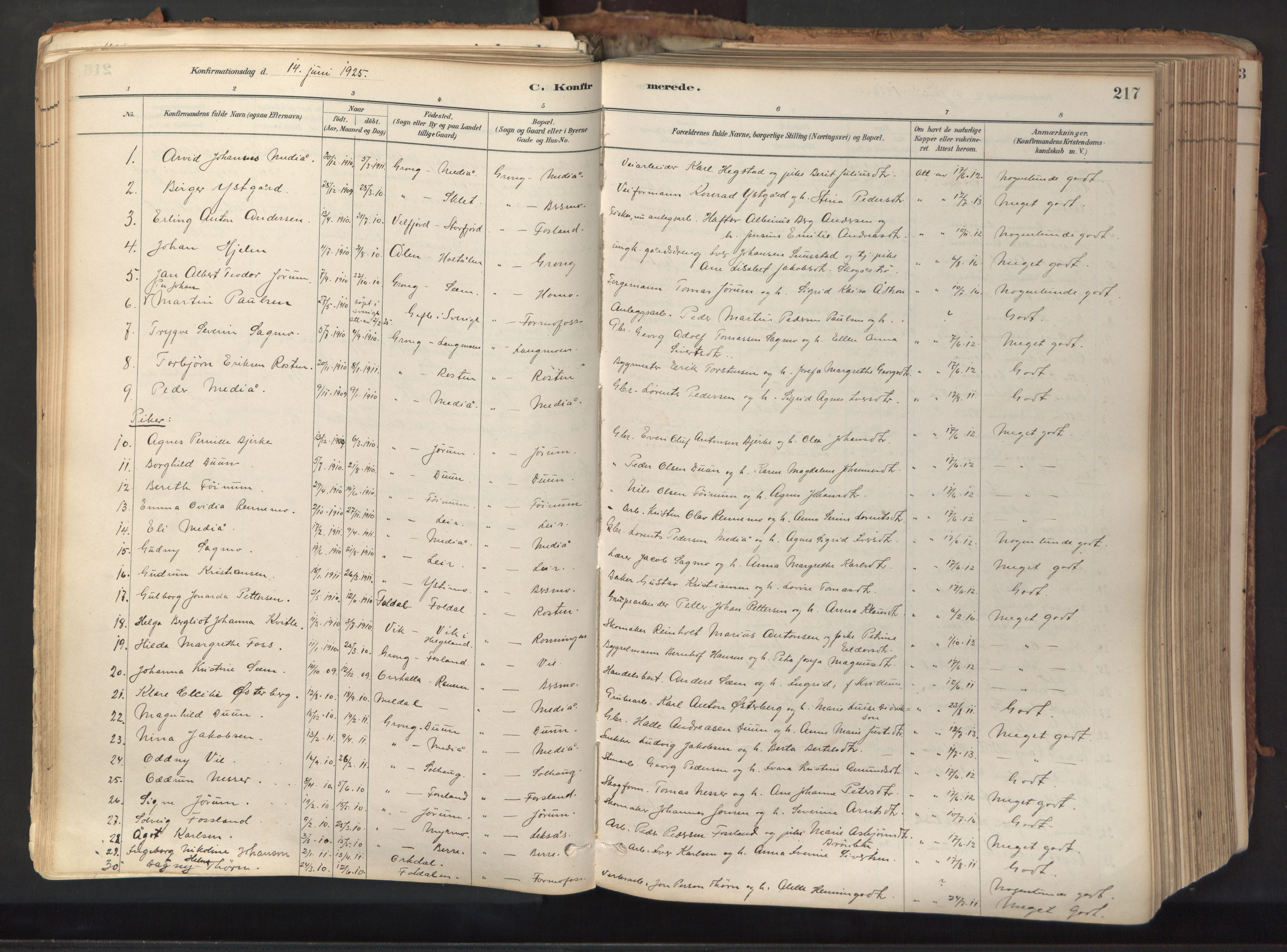 Ministerialprotokoller, klokkerbøker og fødselsregistre - Nord-Trøndelag, AV/SAT-A-1458/758/L0519: Parish register (official) no. 758A04, 1880-1926, p. 217