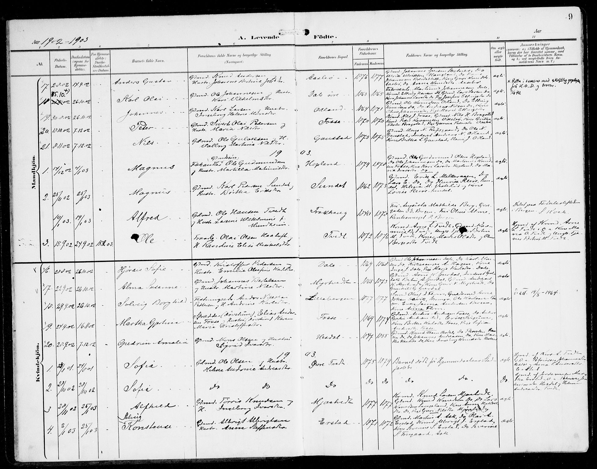 Alversund Sokneprestembete, SAB/A-73901/H/Ha/Haa/Haac/L0002: Parish register (official) no. C 2, 1901-1921, p. 9