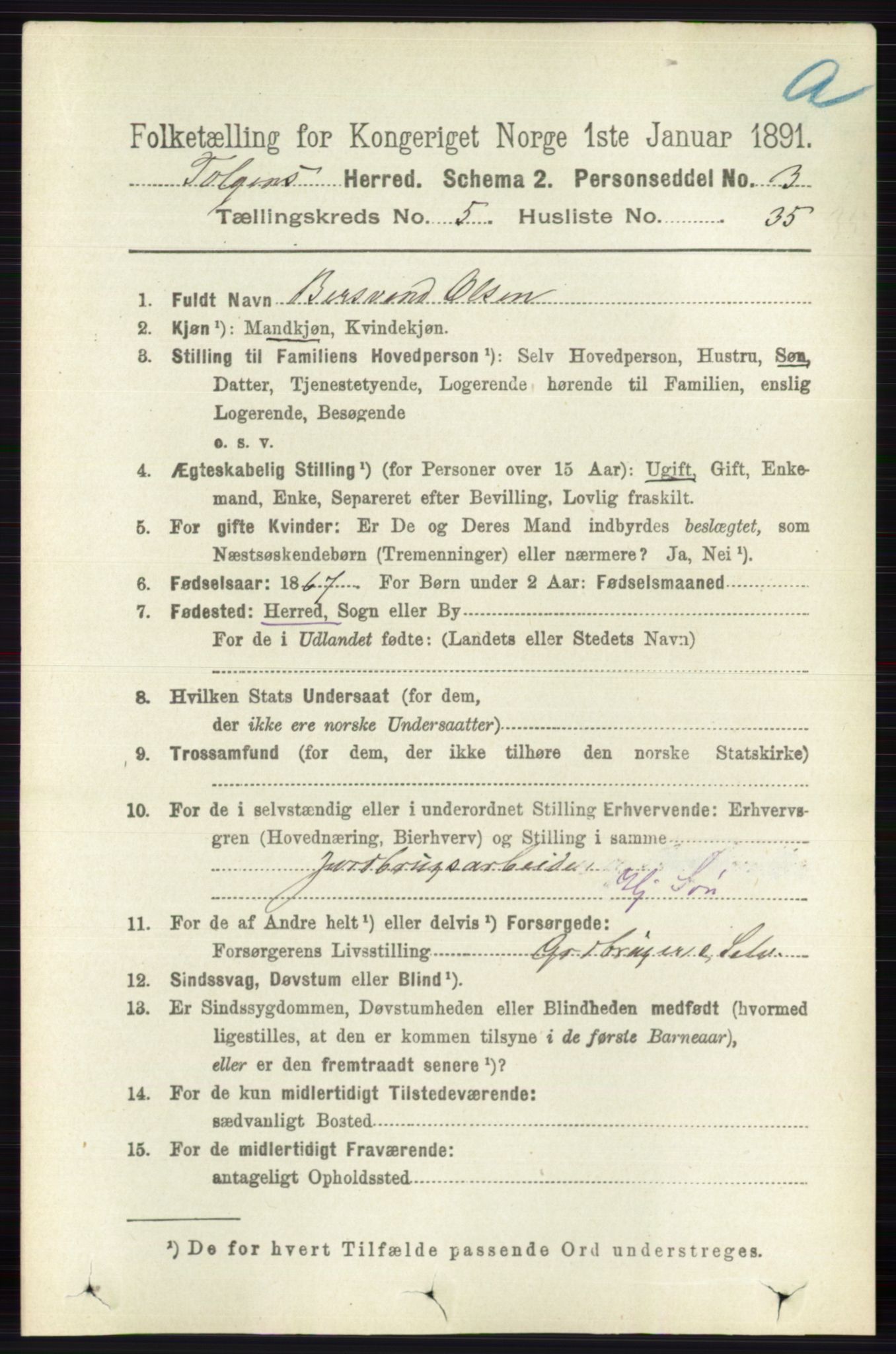 RA, 1891 census for 0436 Tolga, 1891, p. 1519