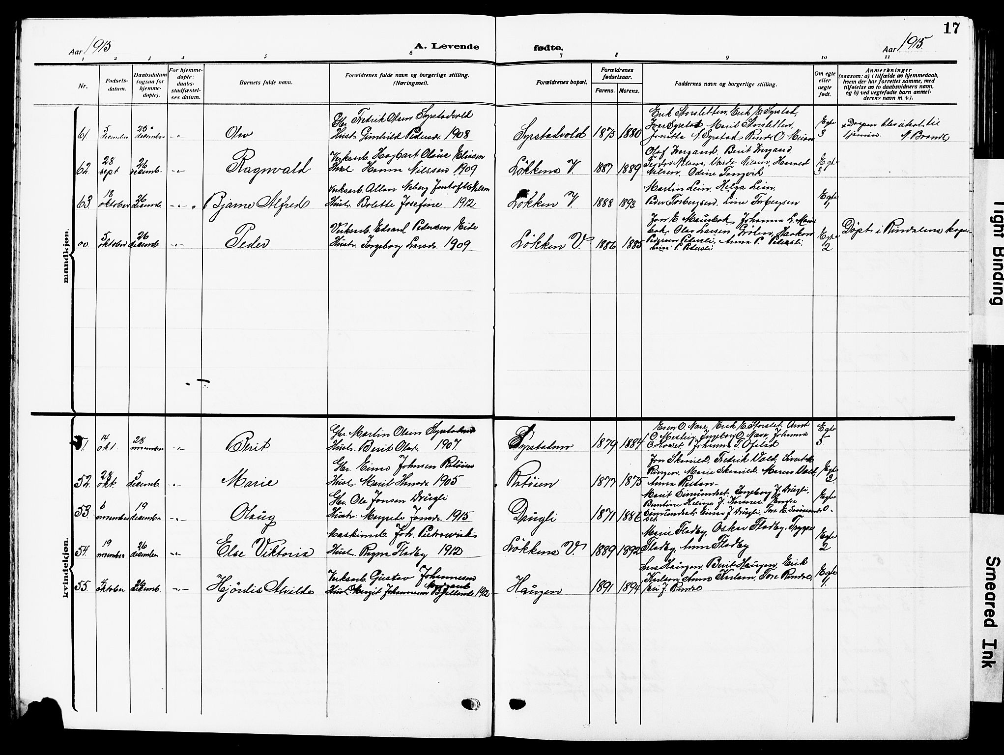 Ministerialprotokoller, klokkerbøker og fødselsregistre - Sør-Trøndelag, SAT/A-1456/672/L0865: Parish register (copy) no. 672C04, 1914-1928, p. 17