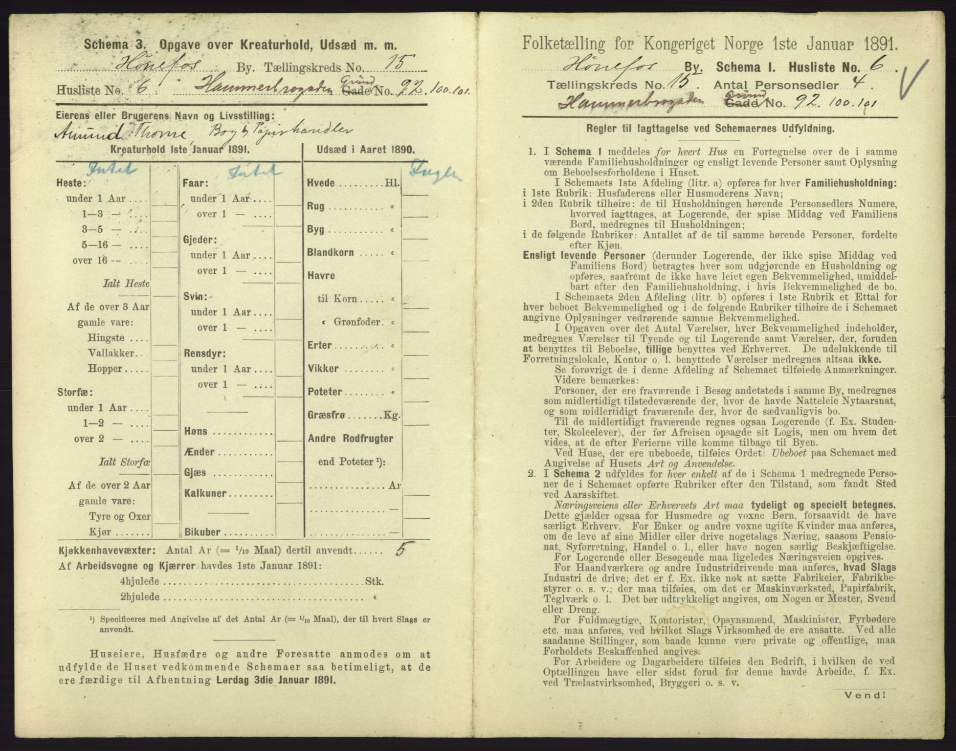 RA, 1891 census for 0601 Hønefoss, 1891, p. 329