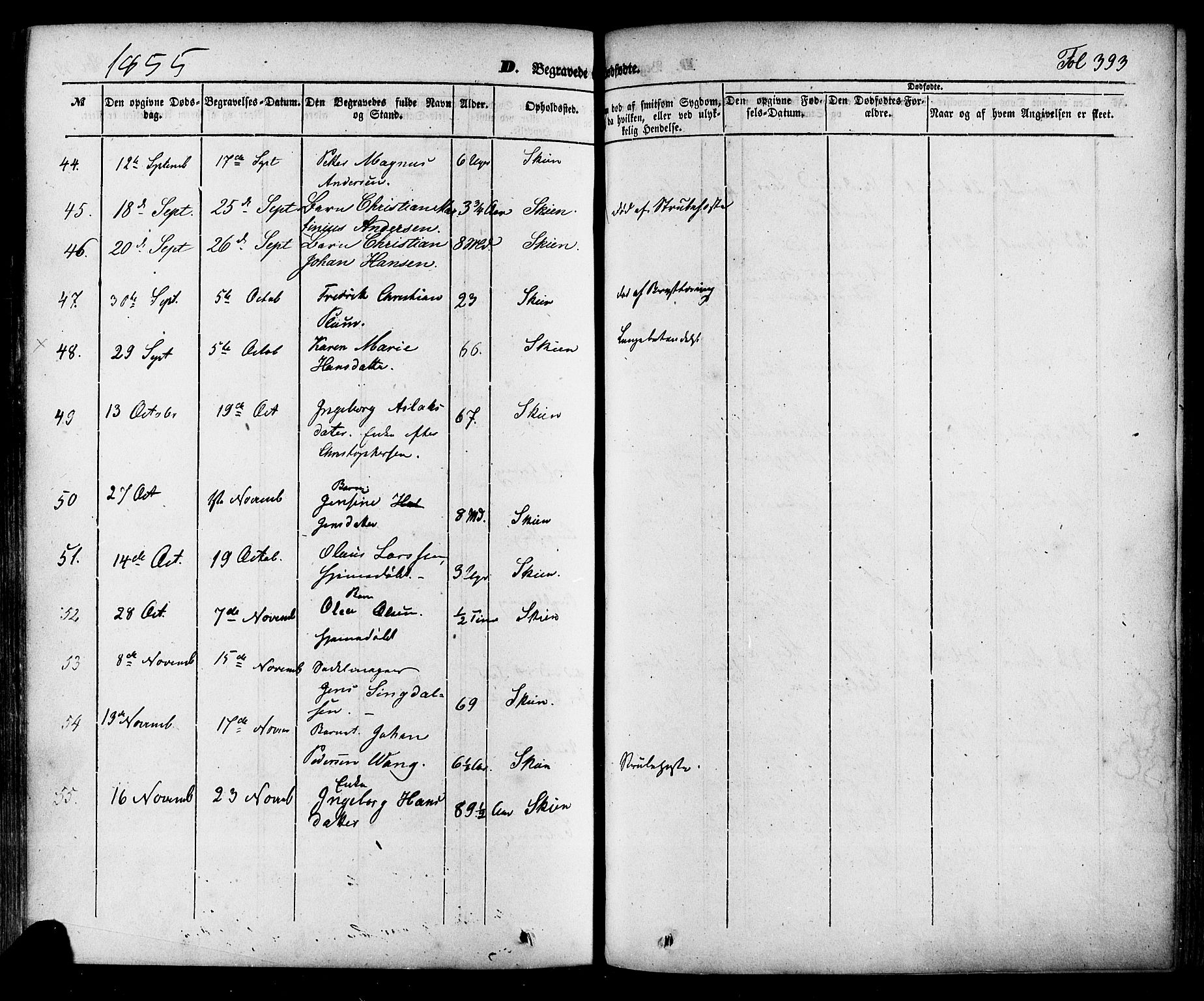 Skien kirkebøker, SAKO/A-302/F/Fa/L0006a: Parish register (official) no. 6A, 1843-1856, p. 393