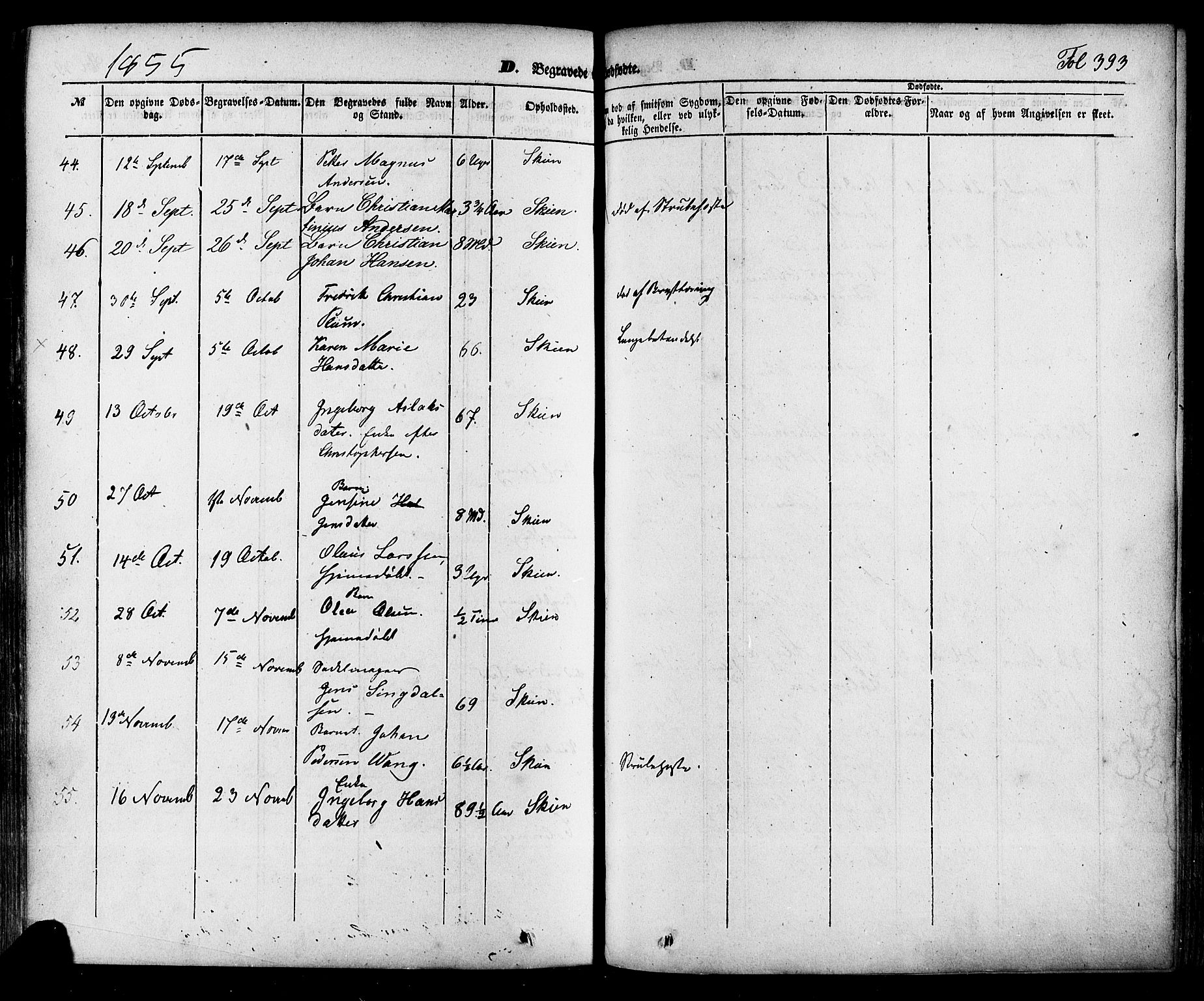 Skien kirkebøker, AV/SAKO-A-302/F/Fa/L0006a: Parish register (official) no. 6A, 1843-1856, p. 393