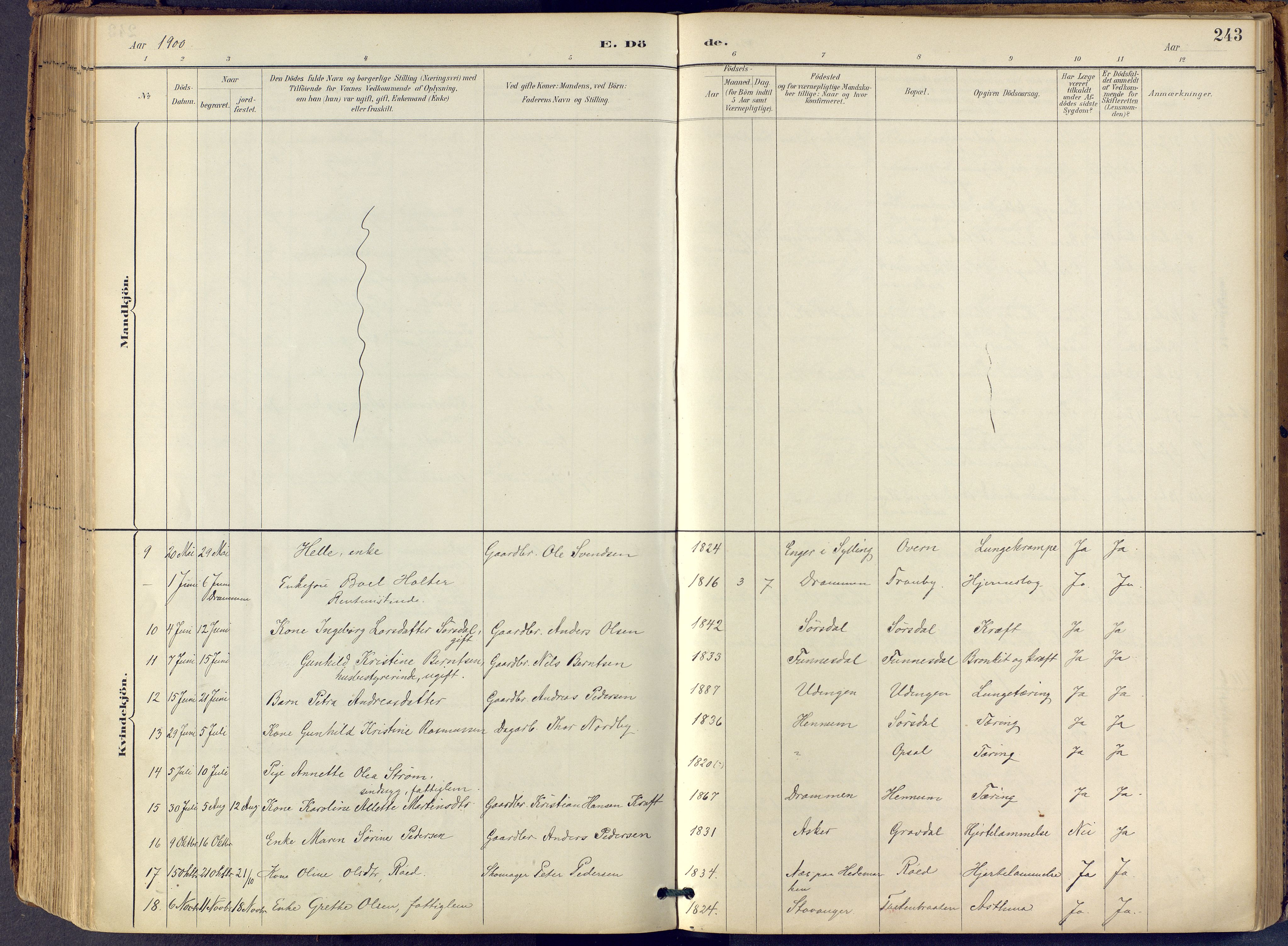 Lier kirkebøker, SAKO/A-230/F/Fb/L0001: Parish register (official) no. II 1, 1883-1910, p. 243