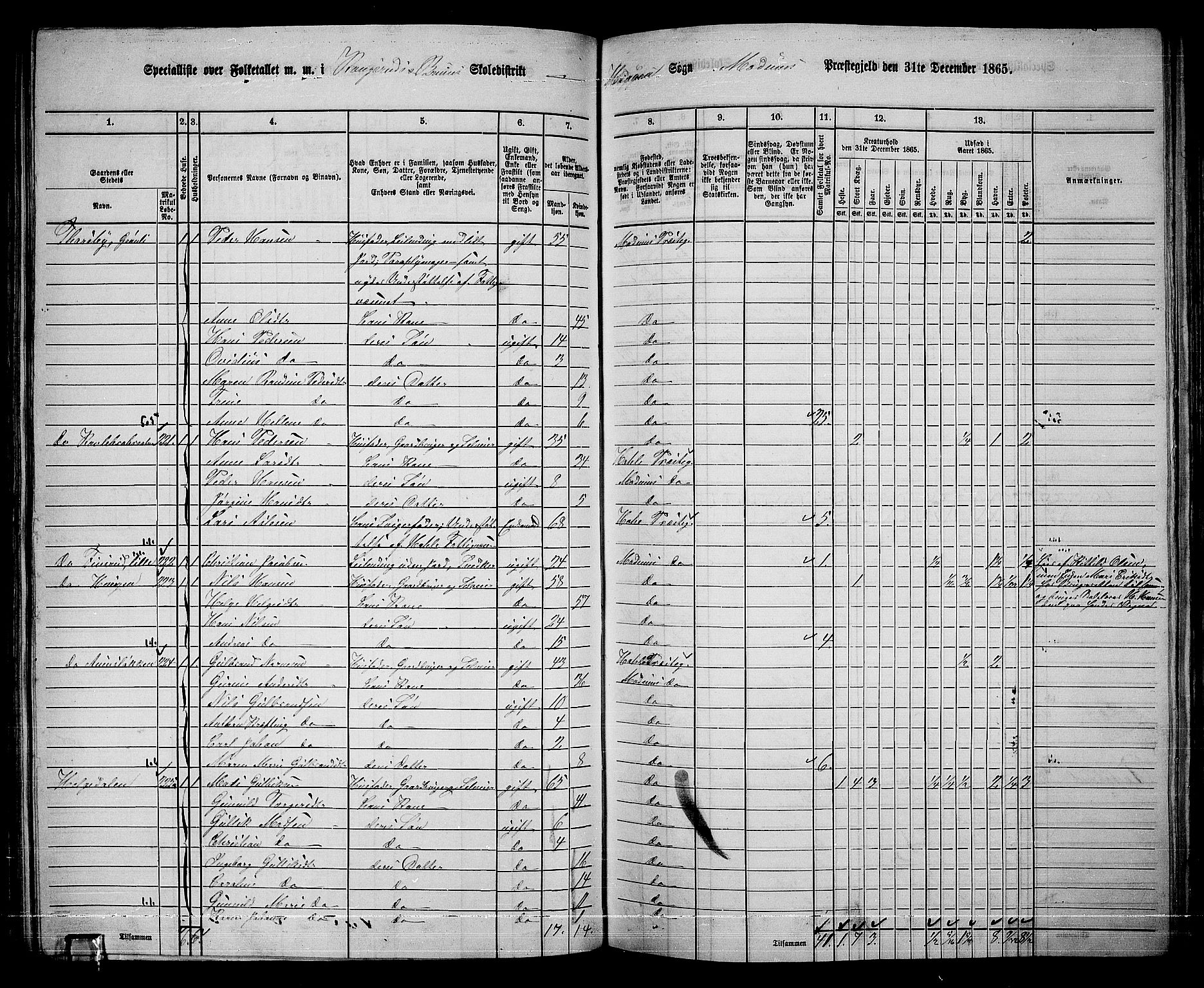 RA, 1865 census for Modum, 1865, p. 137