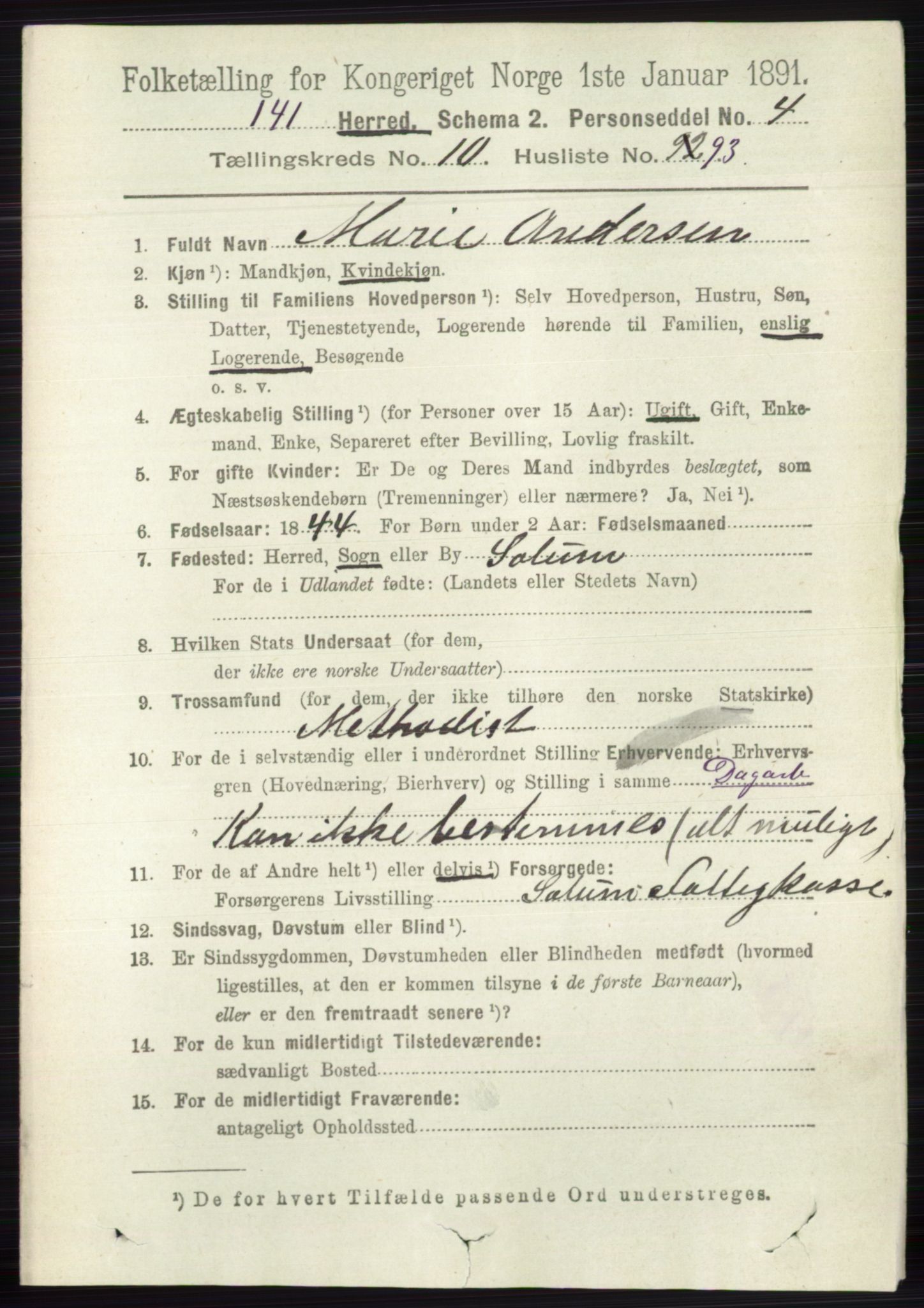 RA, 1891 census for 0818 Solum, 1891, p. 5226