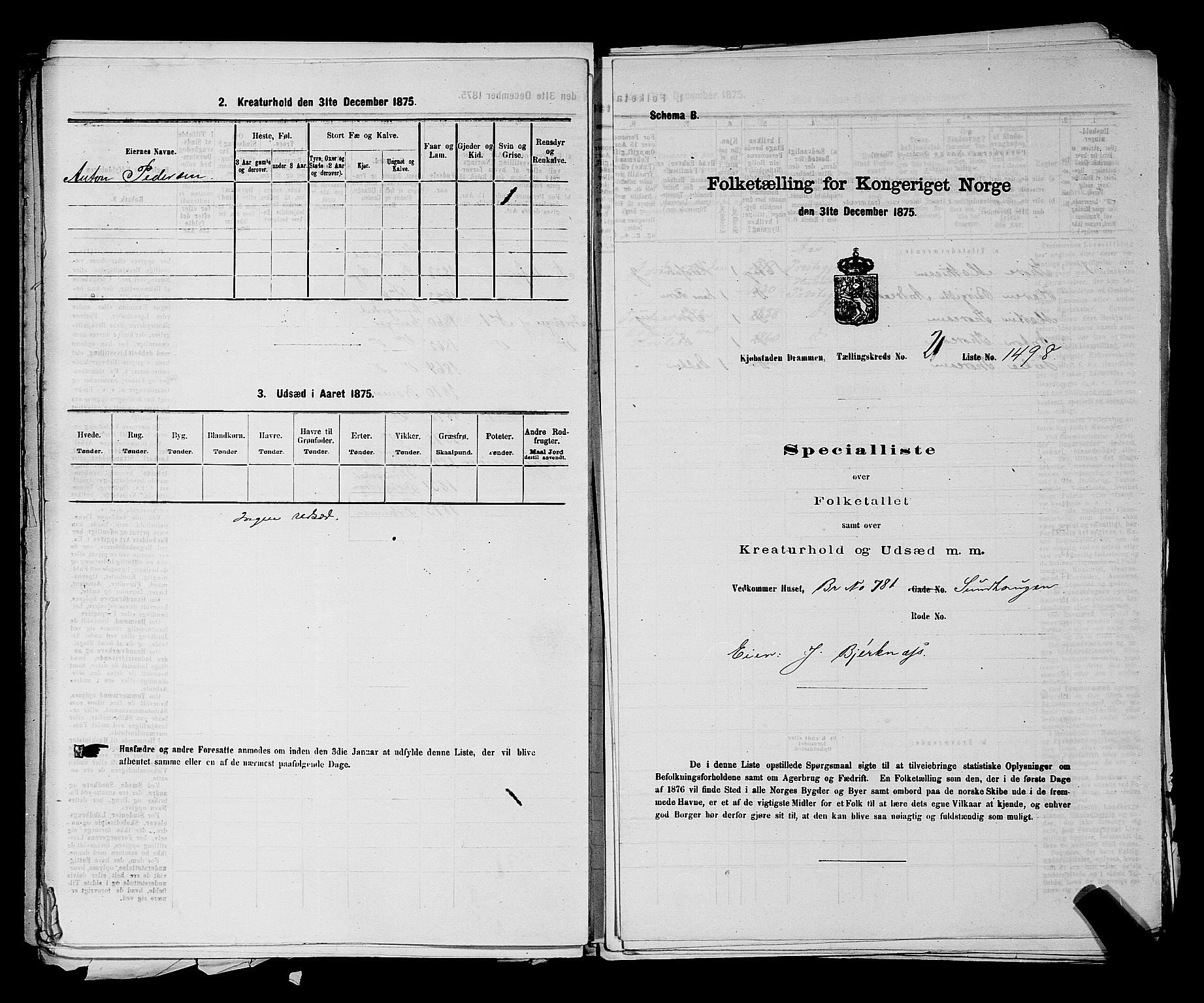SAKO, 1875 census for 0602 Drammen, 1875, p. 2125