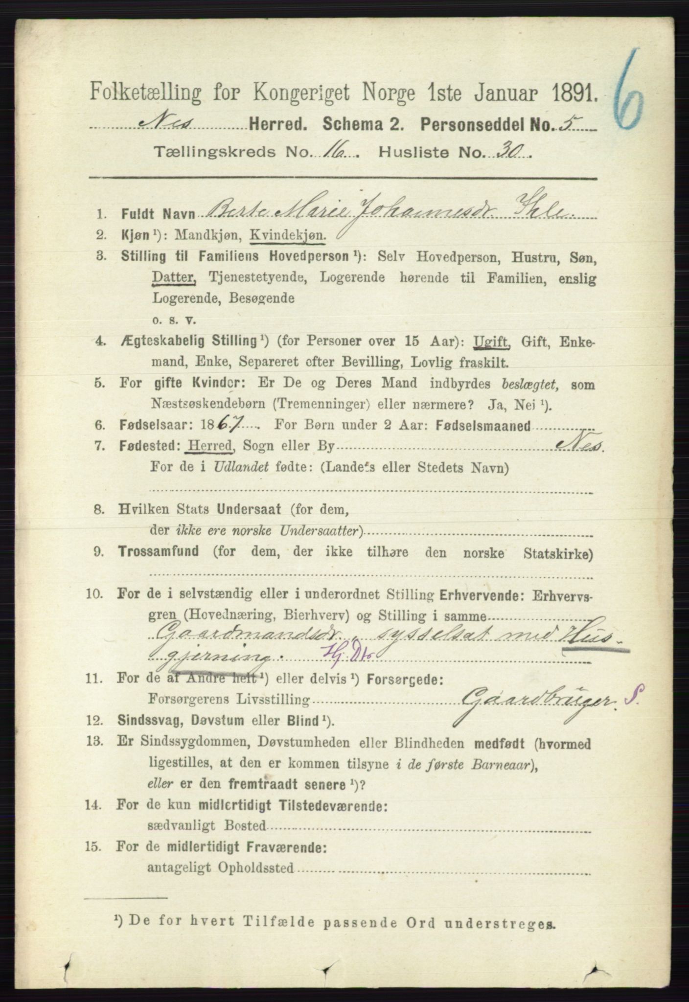 RA, 1891 census for 0236 Nes, 1891, p. 9738