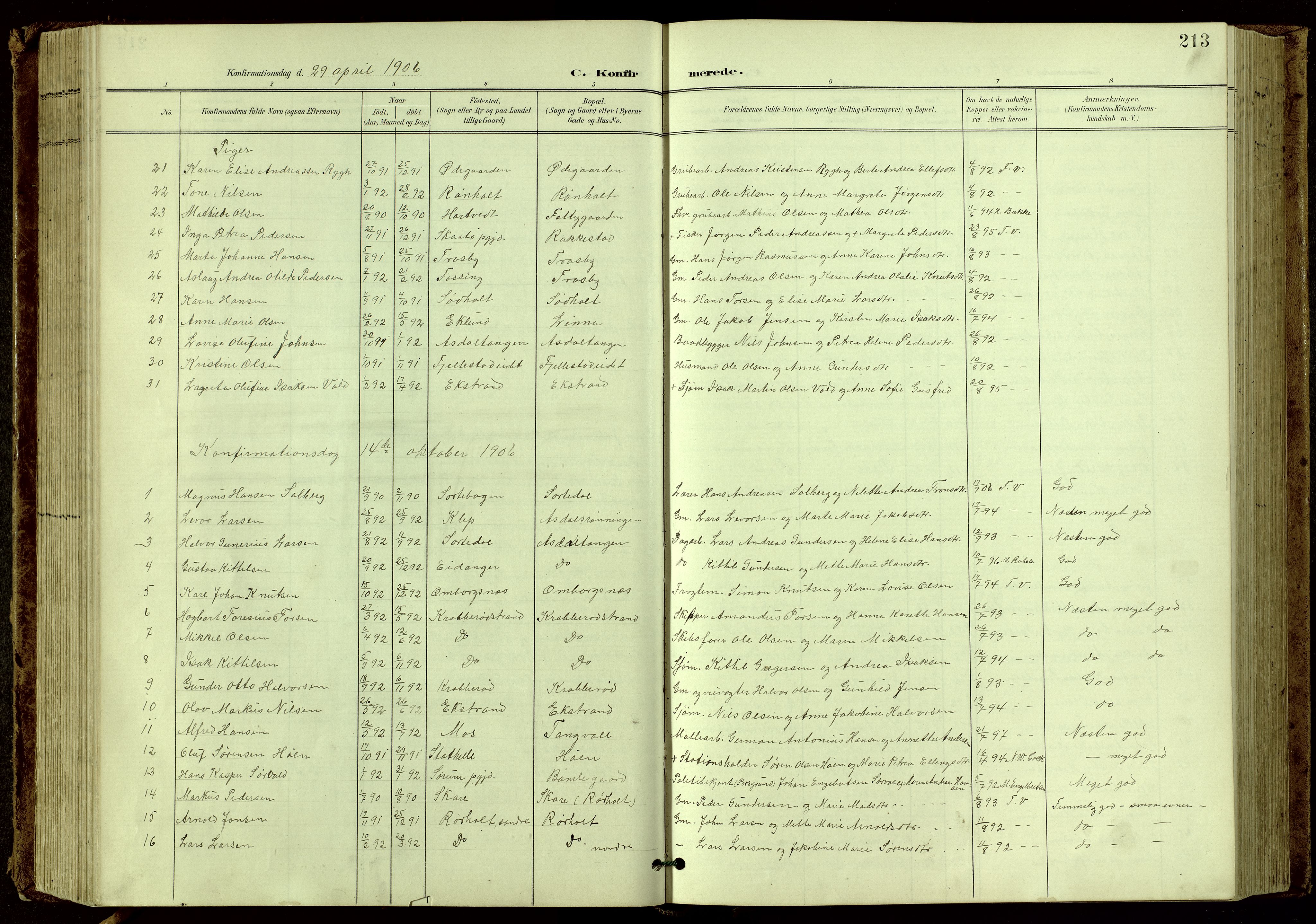Bamble kirkebøker, SAKO/A-253/G/Ga/L0010: Parish register (copy) no. I 10, 1901-1919, p. 213