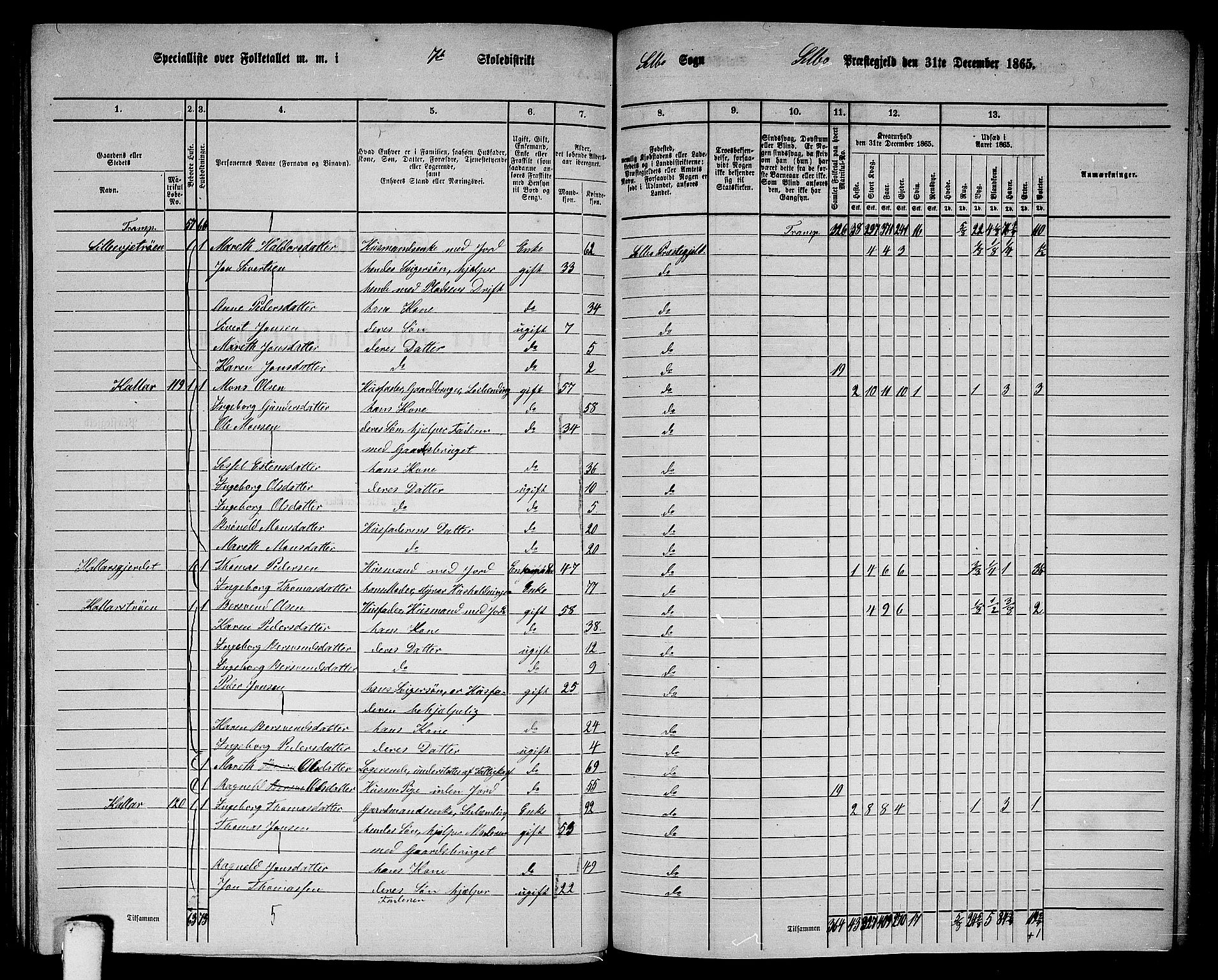 RA, 1865 census for Selbu, 1865, p. 129