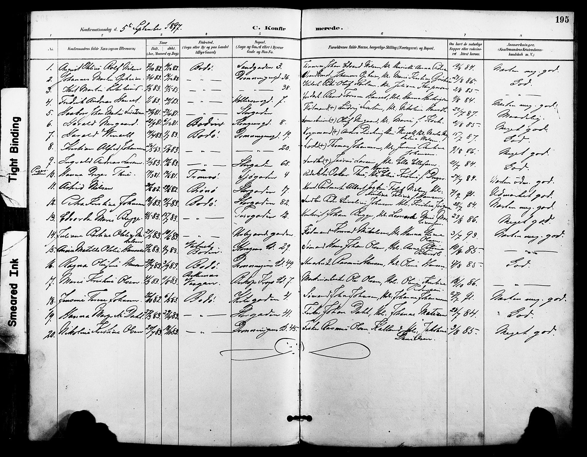 Ministerialprotokoller, klokkerbøker og fødselsregistre - Nordland, AV/SAT-A-1459/801/L0010: Parish register (official) no. 801A10, 1888-1899, p. 195