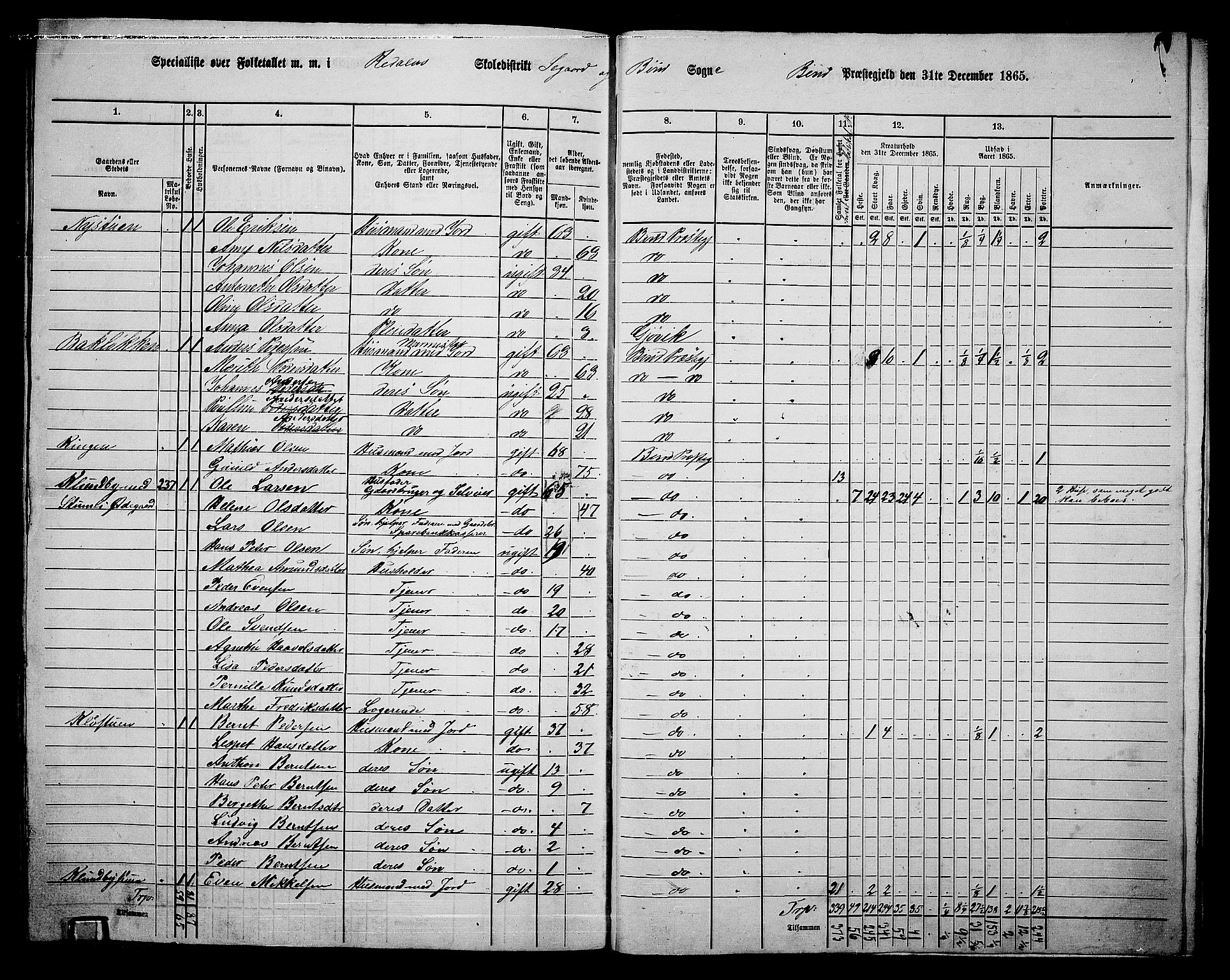 RA, 1865 census for Biri, 1865, p. 209