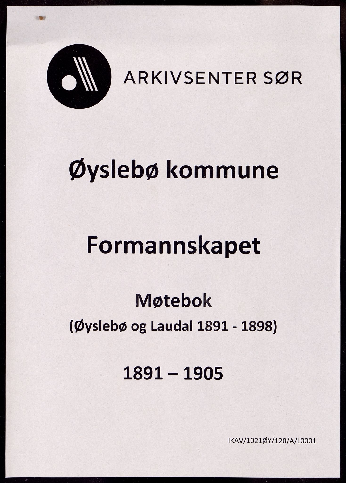 Øyslebø kommune - Formannskapet, ARKSOR/1021ØY120/A/L0001: Møtebok (møtebok for Øyslebø og Laudal 1891 - 1905), 1891-1905