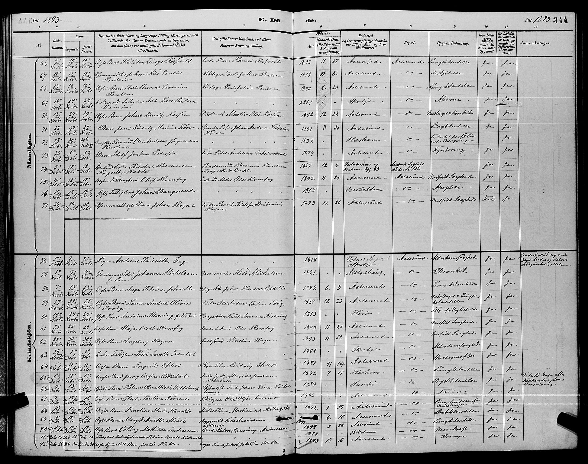 Ministerialprotokoller, klokkerbøker og fødselsregistre - Møre og Romsdal, AV/SAT-A-1454/529/L0467: Parish register (copy) no. 529C04, 1889-1897, p. 344