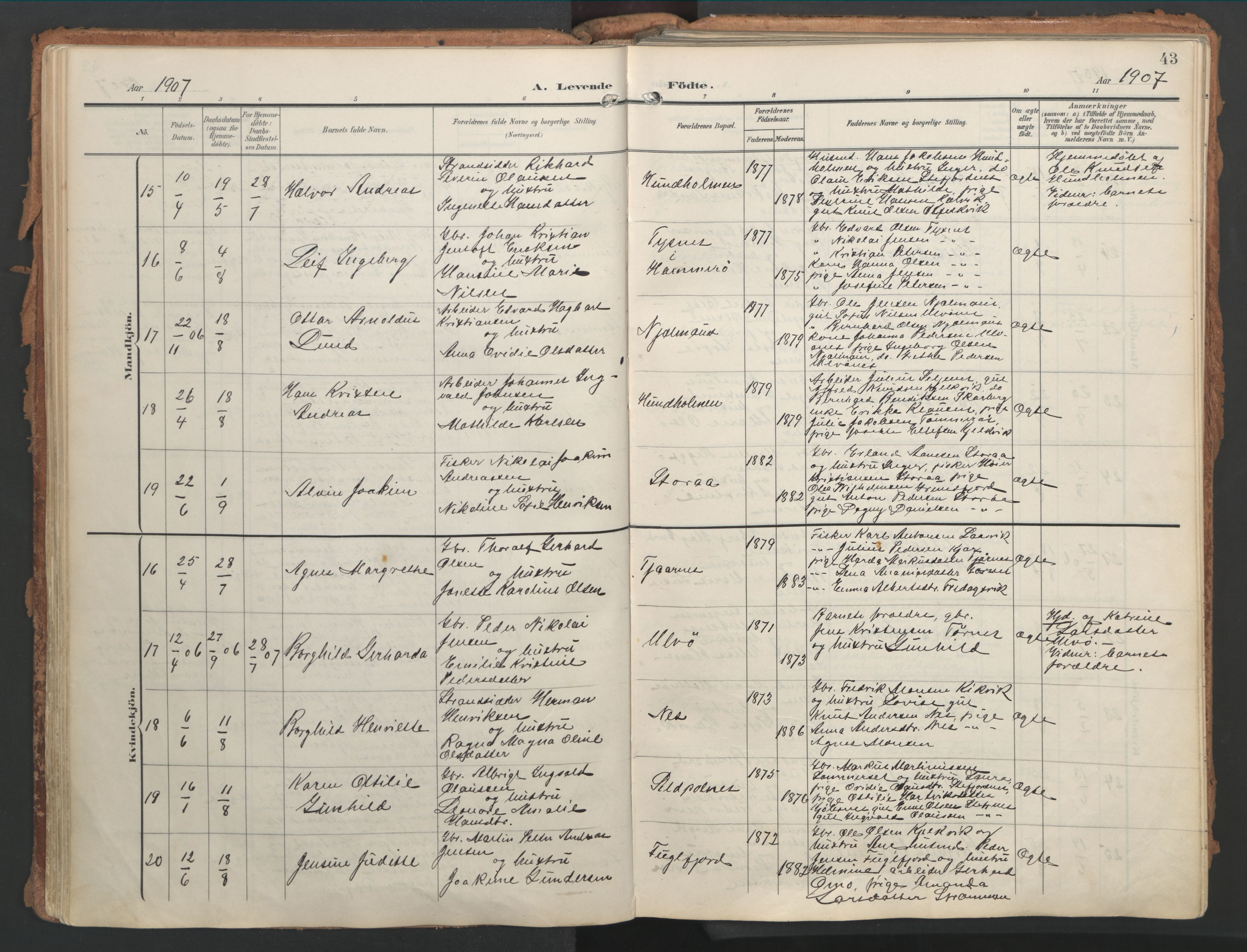 Ministerialprotokoller, klokkerbøker og fødselsregistre - Nordland, AV/SAT-A-1459/861/L0871: Parish register (official) no. 861A06, 1903-1916, p. 43