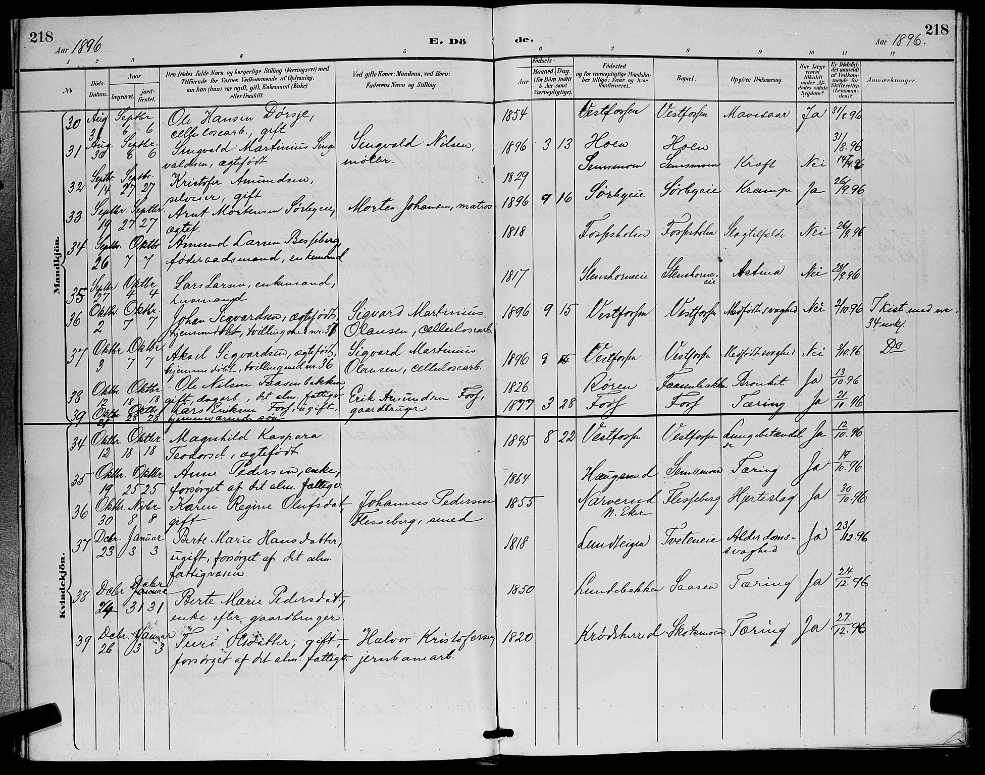 Eiker kirkebøker, SAKO/A-4/G/Ga/L0007: Parish register (copy) no. I 7, 1893-1902, p. 218