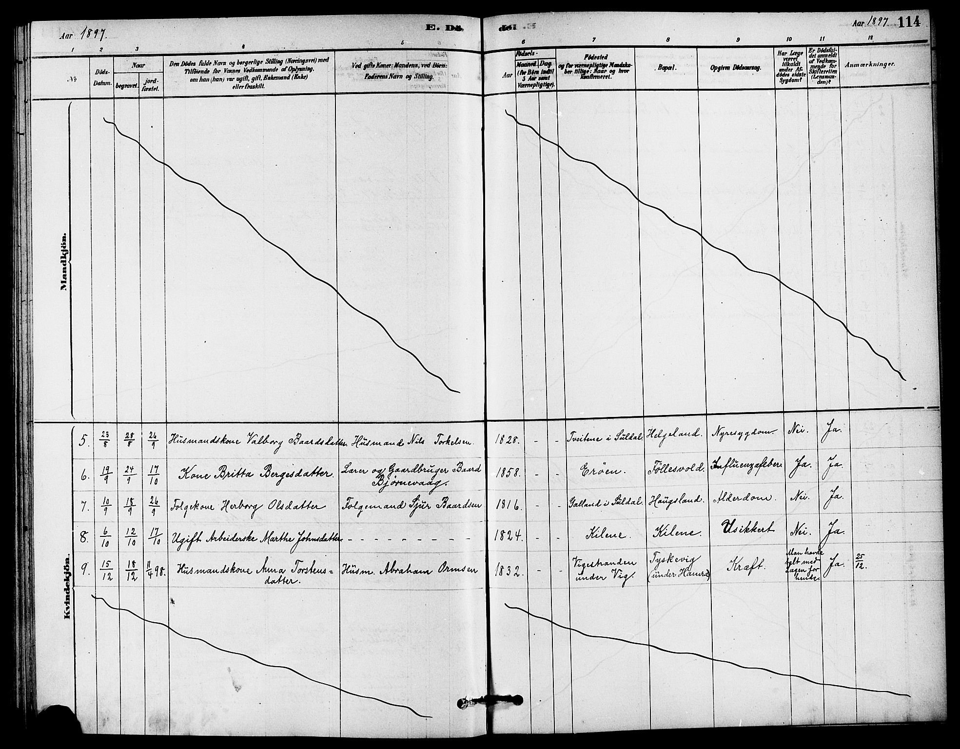 Jelsa sokneprestkontor, SAST/A-101842/01/IV: Parish register (official) no. A 9, 1878-1898, p. 114
