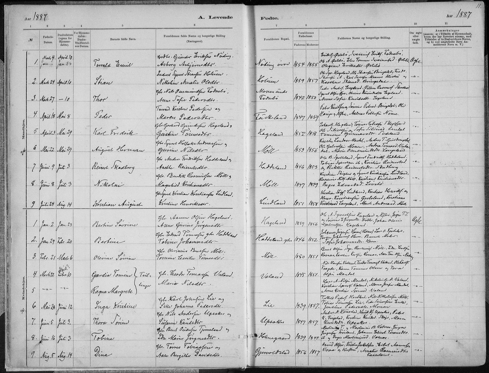 Holum sokneprestkontor, SAK/1111-0022/F/Fa/Faa/L0007: Parish register (official) no. A 7, 1884-1907, p. 11