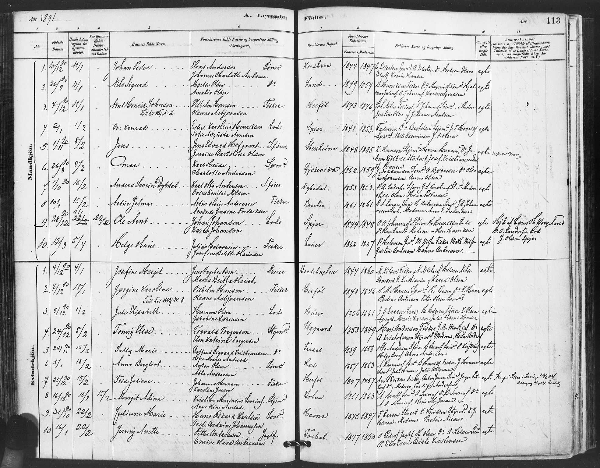 Hvaler prestekontor Kirkebøker, AV/SAO-A-2001/F/Fa/L0008: Parish register (official) no. I 8, 1878-1895, p. 113