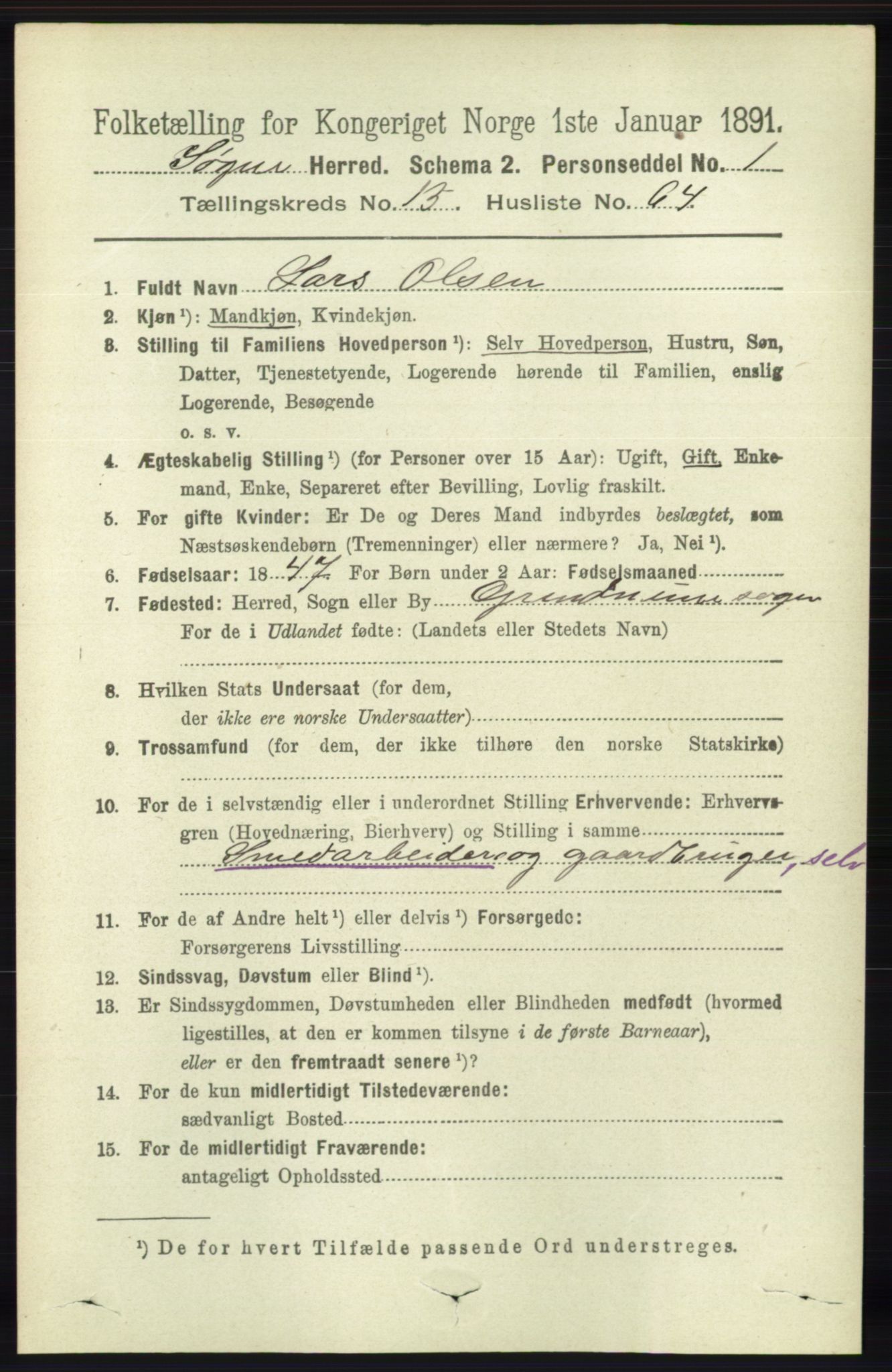 RA, 1891 census for 1018 Søgne, 1891, p. 4207