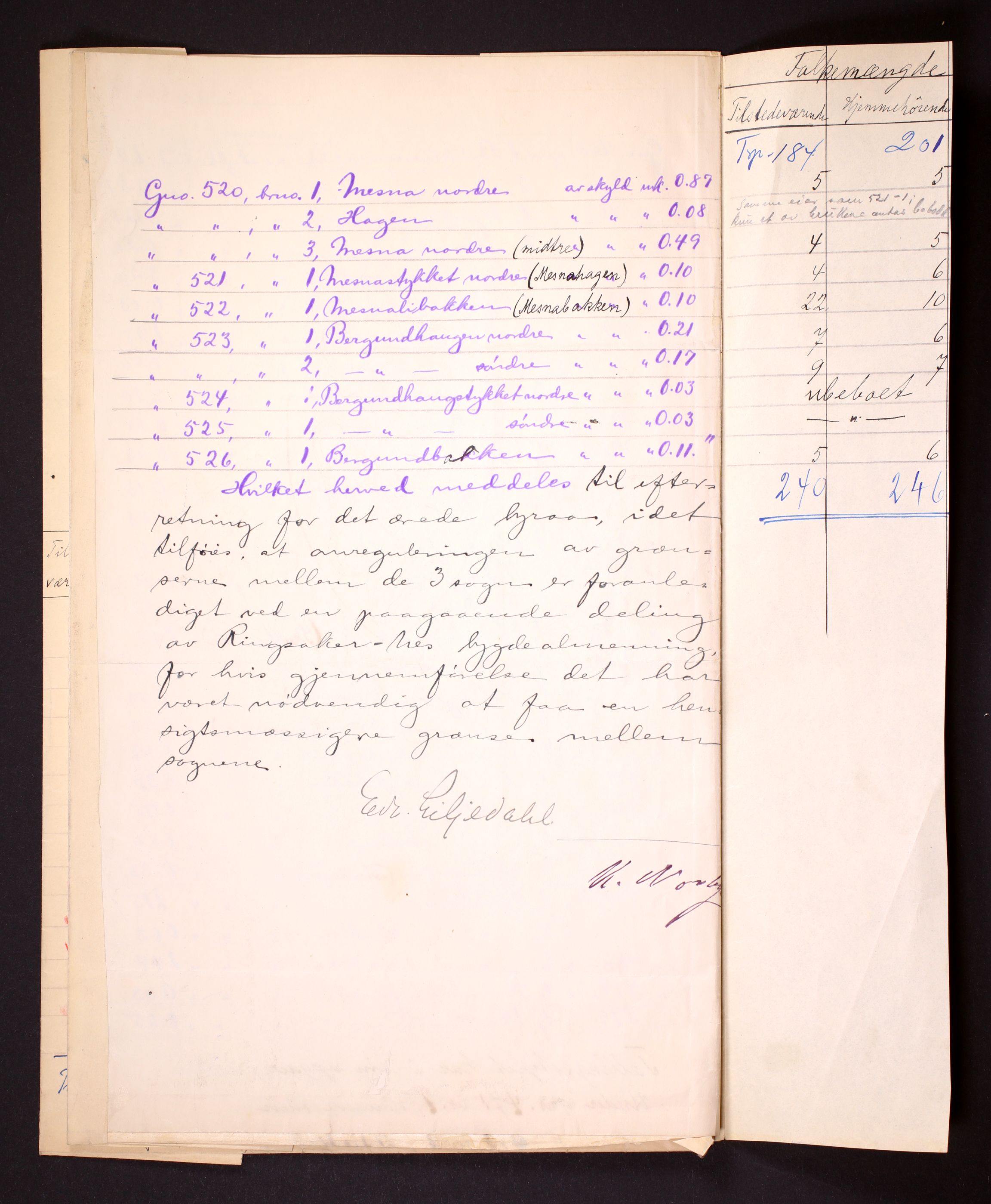 RA, 1910 census for Ringsaker, 1910, p. 9