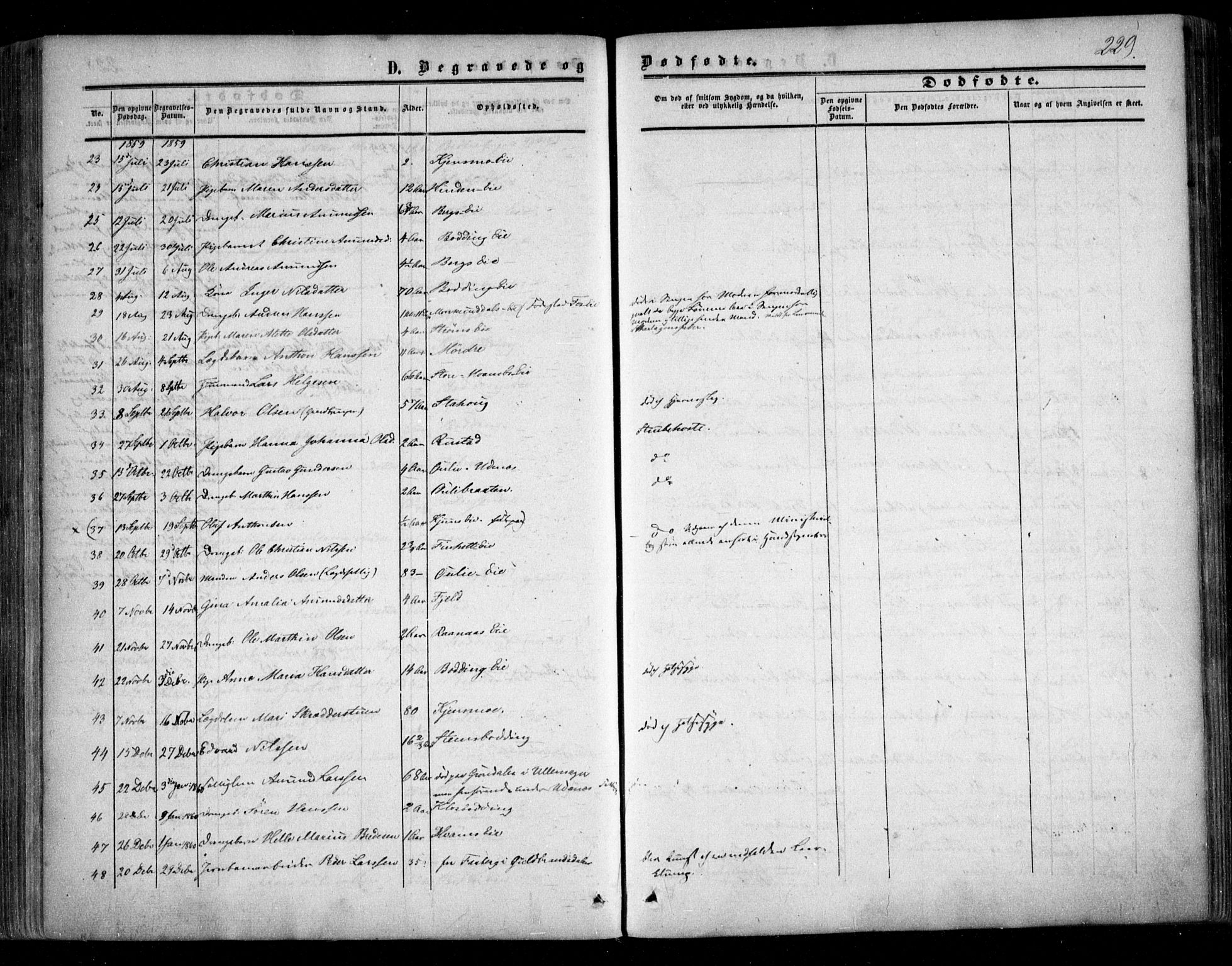 Nes prestekontor Kirkebøker, SAO/A-10410/F/Fc/L0001: Parish register (official) no. III 1, 1859-1882, p. 229