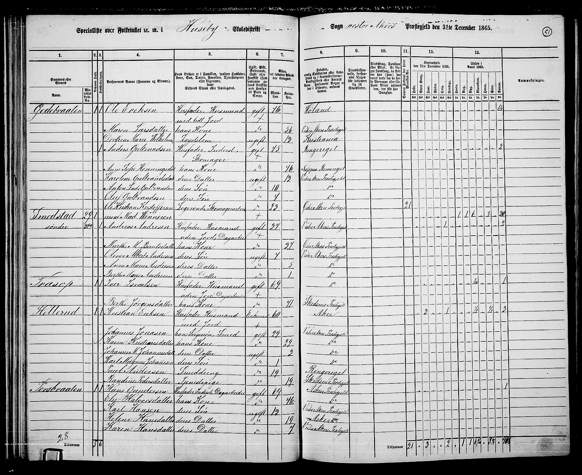 RA, 1865 census for Vestre Aker, 1865, p. 224