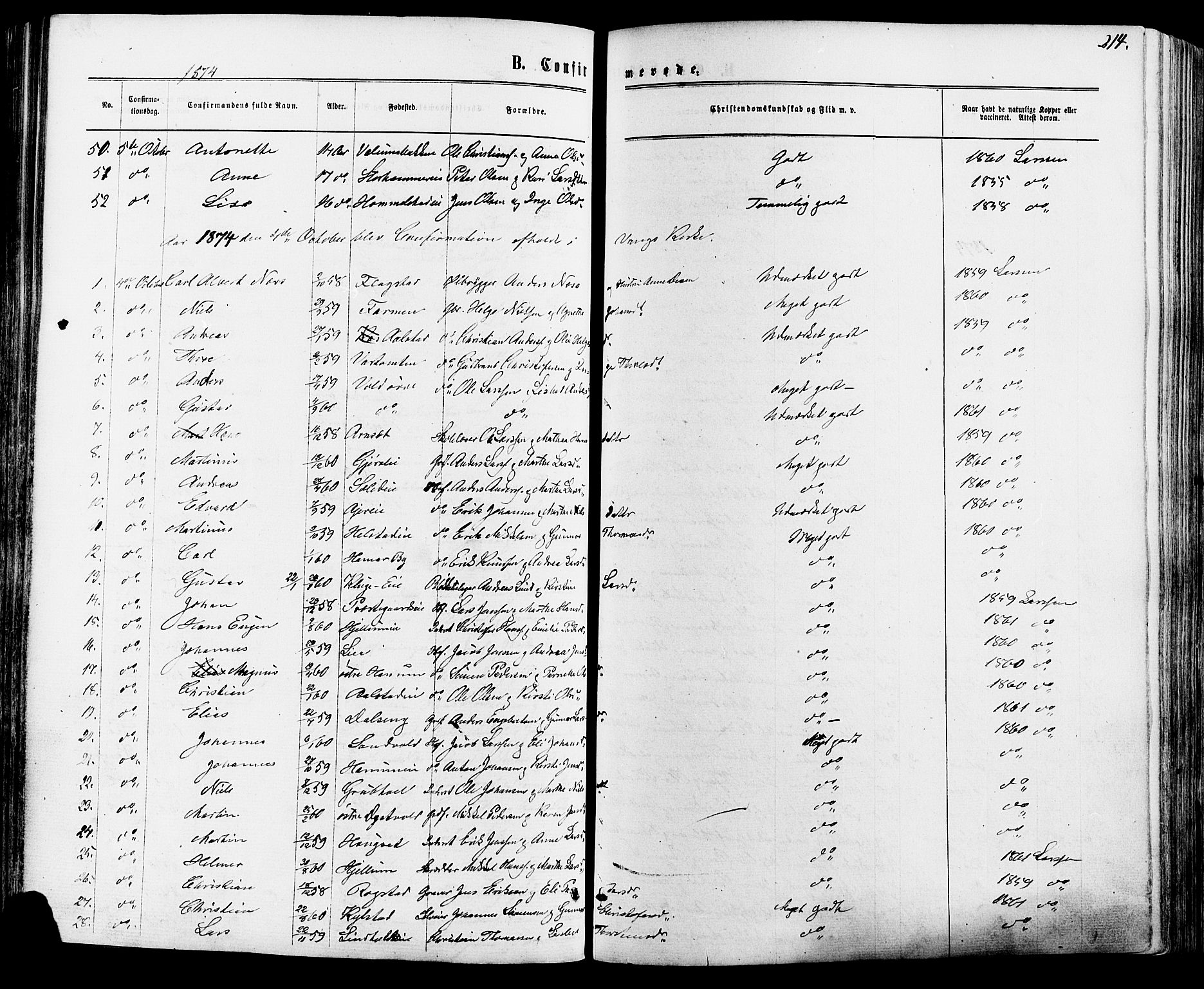 Vang prestekontor, Hedmark, AV/SAH-PREST-008/H/Ha/Haa/L0015: Parish register (official) no. 15, 1871-1885, p. 214