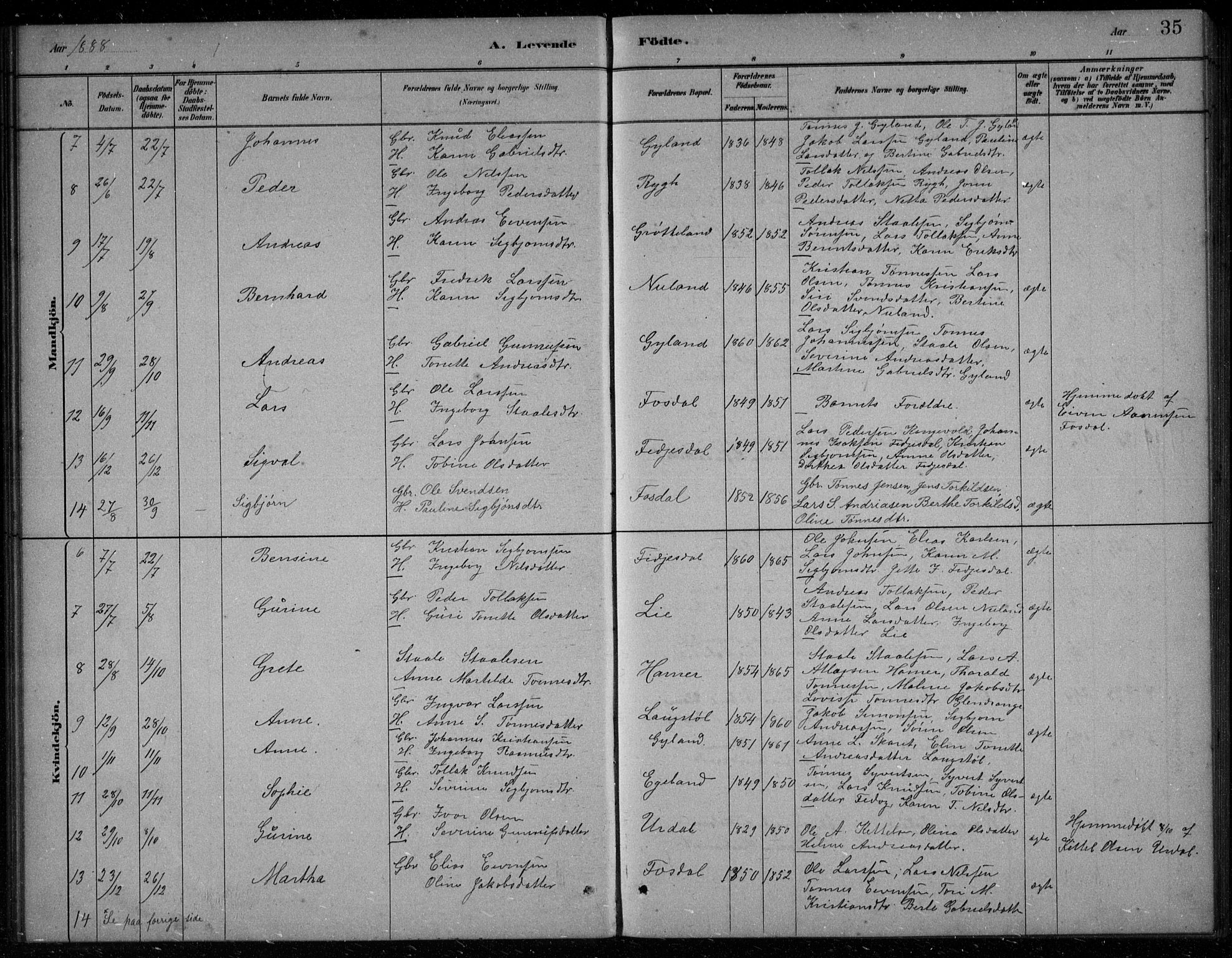 Bakke sokneprestkontor, AV/SAK-1111-0002/F/Fb/Fbb/L0003: Parish register (copy) no. B 3, 1878-1896, p. 35