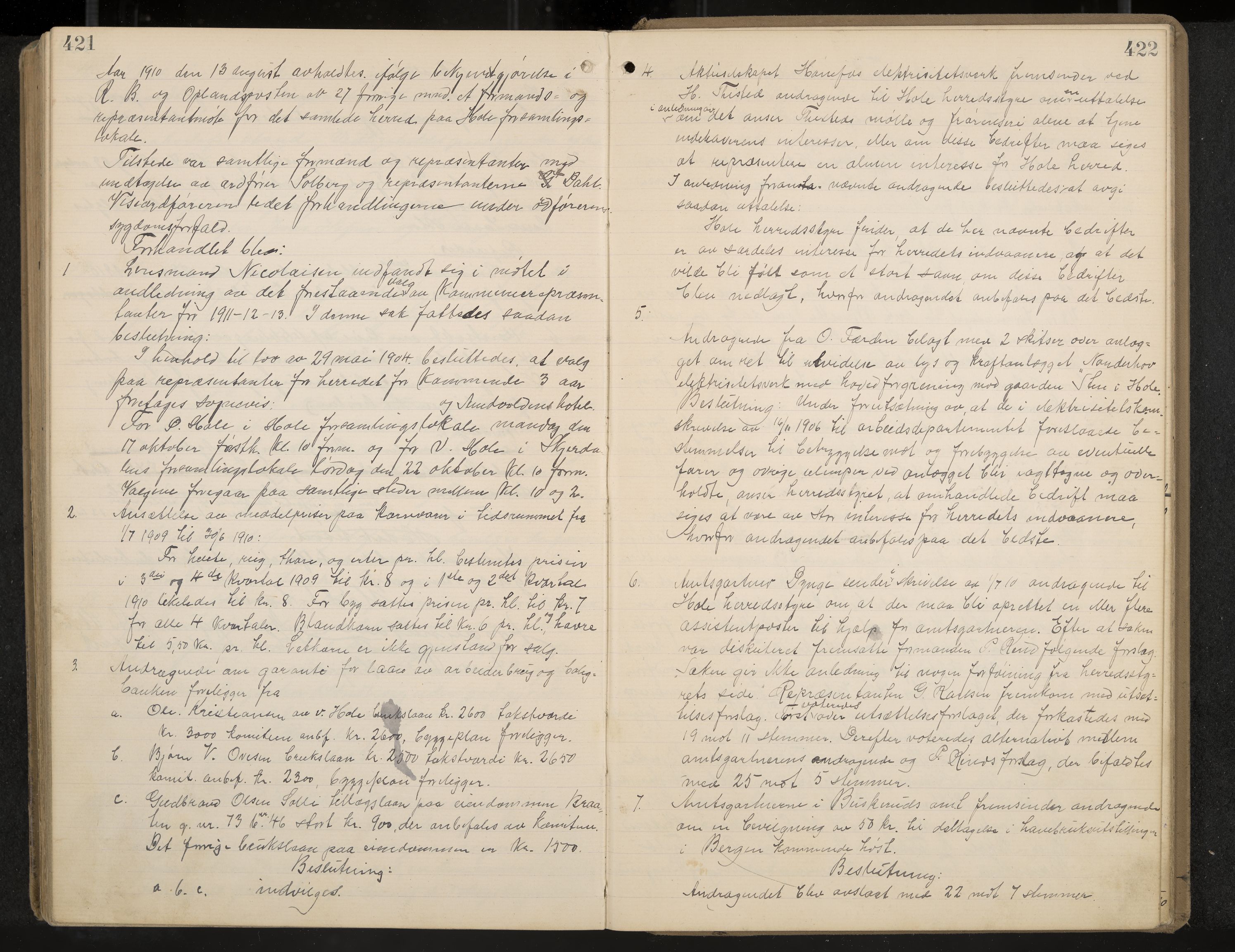 Hole formannskap og sentraladministrasjon, IKAK/0612021-1/A/Aa/L0004: Møtebok med register, 1902-1910, p. 421-422