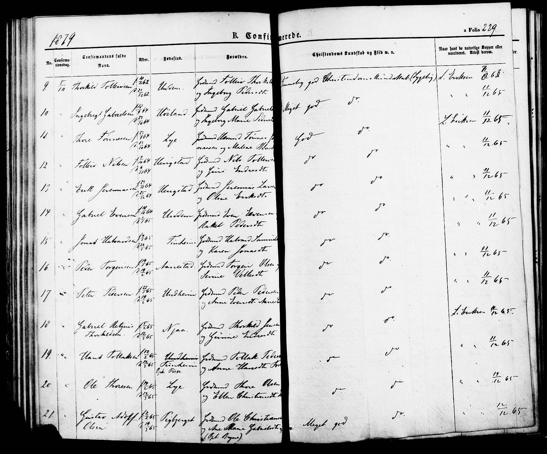 Lye sokneprestkontor, AV/SAST-A-101794/001/30BA/L0008: Parish register (official) no. A 7, 1872-1881, p. 229