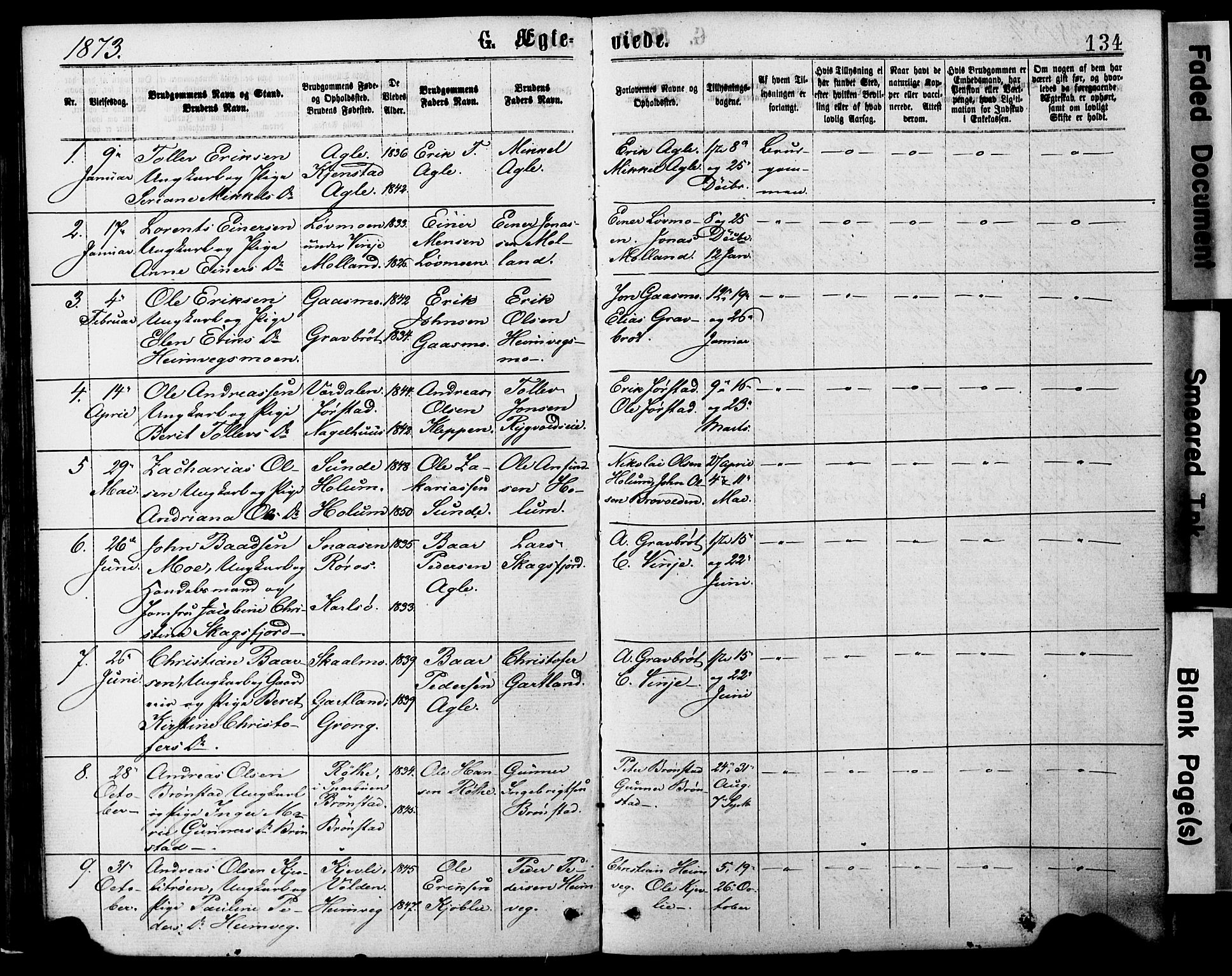 Ministerialprotokoller, klokkerbøker og fødselsregistre - Nord-Trøndelag, SAT/A-1458/749/L0473: Parish register (official) no. 749A07, 1873-1887, p. 134