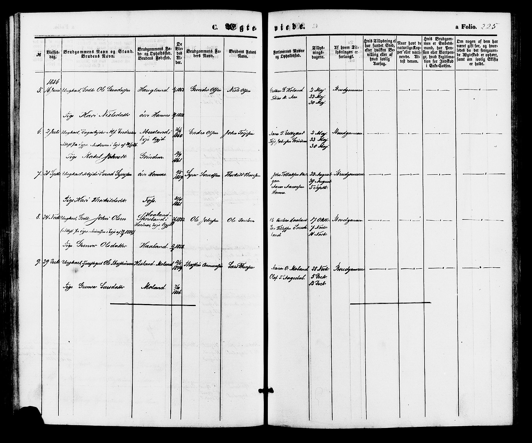 Bjelland sokneprestkontor, SAK/1111-0005/F/Fa/Faa/L0003: Parish register (official) no. A 3, 1867-1887, p. 225