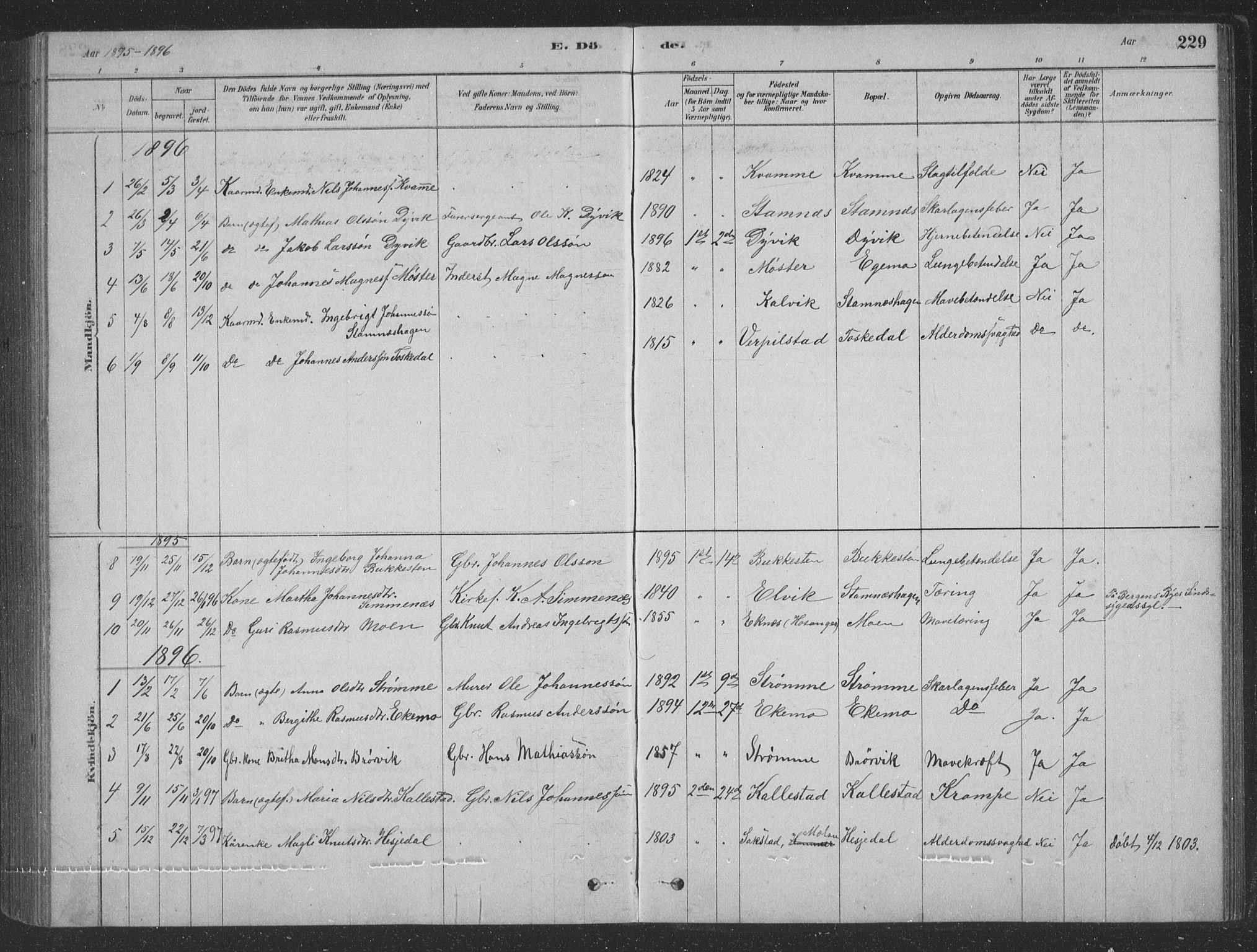 Vaksdal Sokneprestembete, AV/SAB-A-78901/H/Hab: Parish register (copy) no. D 1, 1878-1939, p. 229