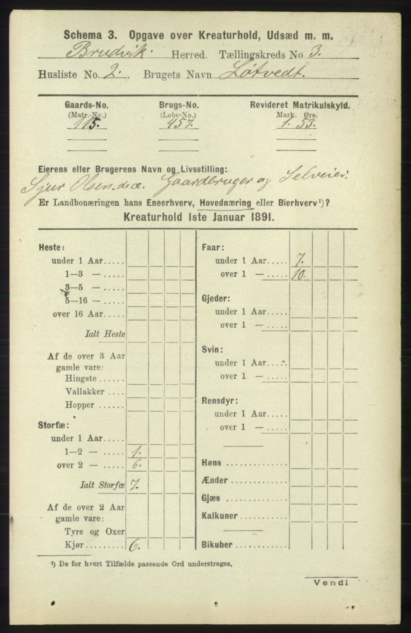 RA, 1891 census for 1251 Bruvik, 1891, p. 4341